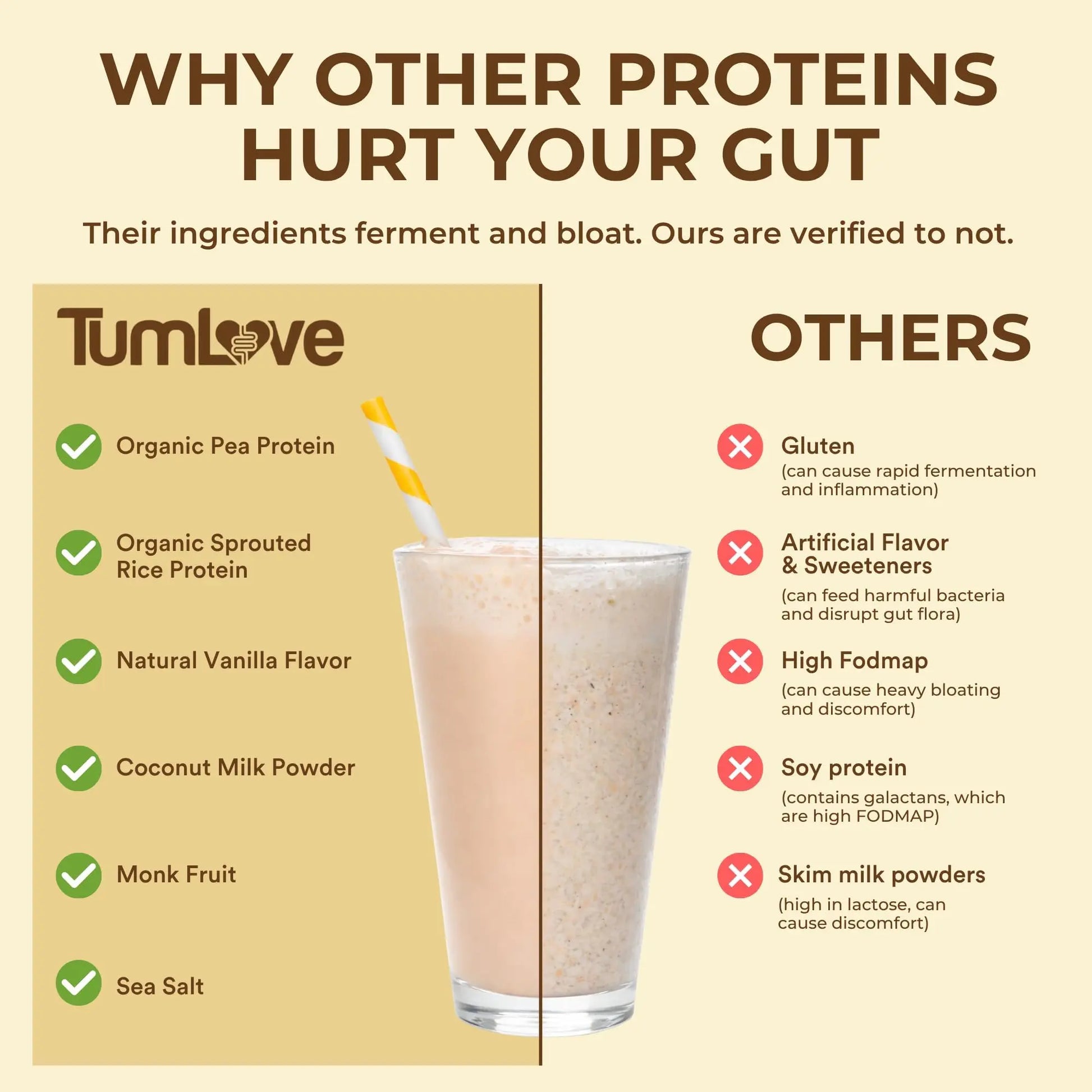 TumLove Vegan Protein Powder - Low FODMAP Certified, Gluten-Free, Dairy-Free, Soy-Free, 100% Gut-Friendly & Non-Bloating, Vanilla (25 Servings) TumLove uk supplements