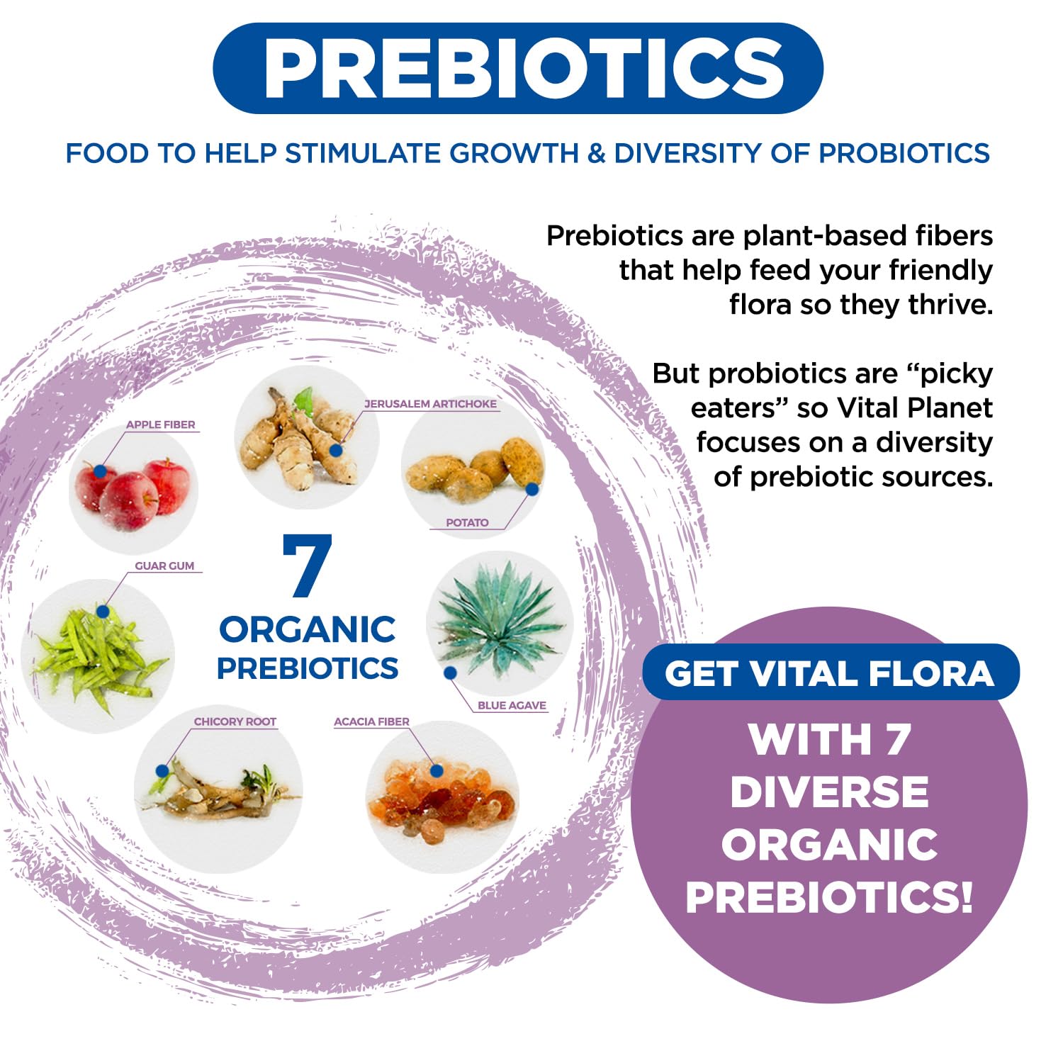 Vital Planet - Vital Flora Women’s Daily Probiotic 60 Billion CFU, 60 Diverse Strains, 7 Organic Prebiotics, Vaginal and Immune Support, Bloating, Digestive Health Probiotics for Women 30 Capsules Vital Planet uk supplements