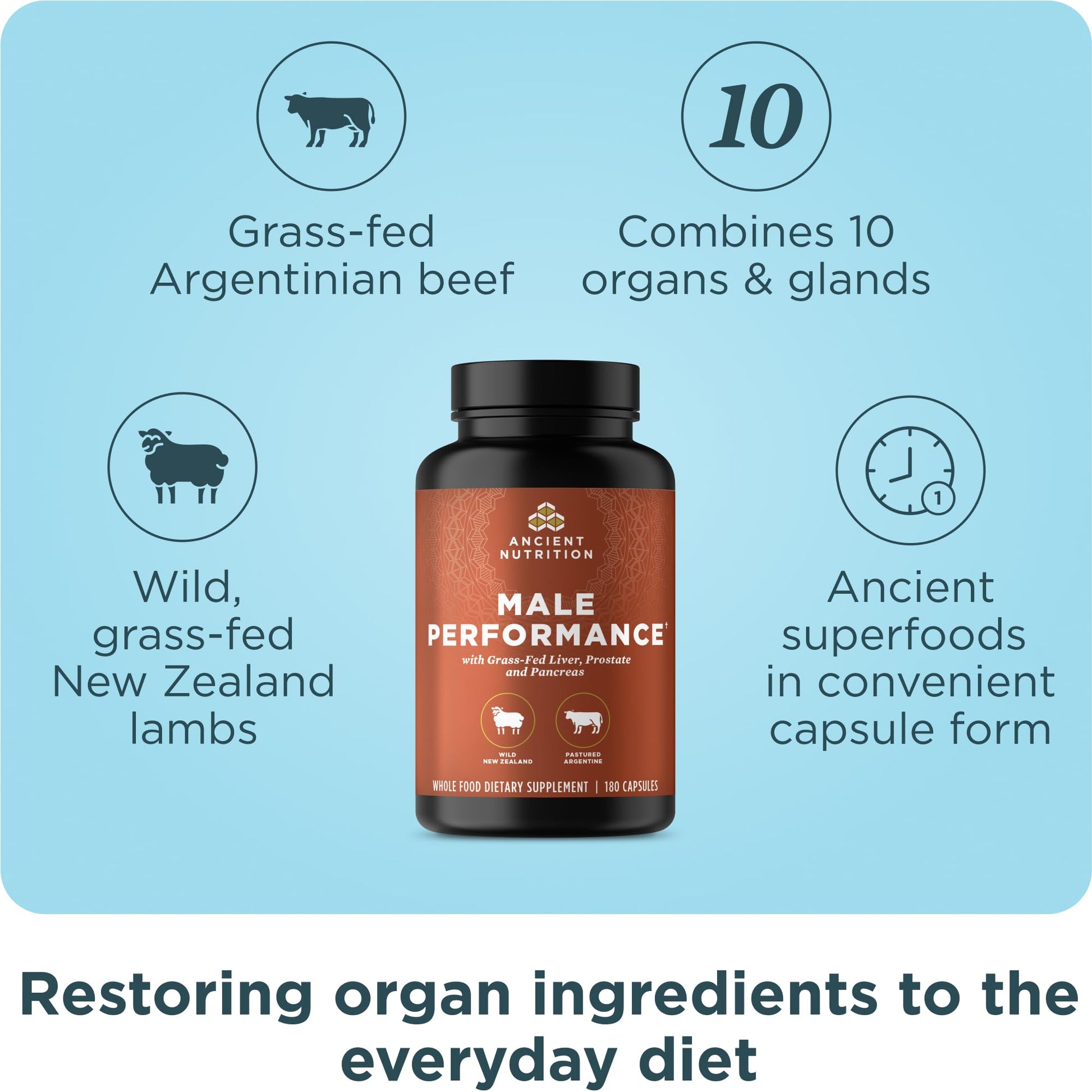 Ancient Nutrition Organ Supplements for Men, Grass-Fed and Wild Organ Complex Capsules, Liver, Prostate, Pancreas Supports Male Performance, Healthy Aging, 180 Ct Ancient Nutrition uk supplements