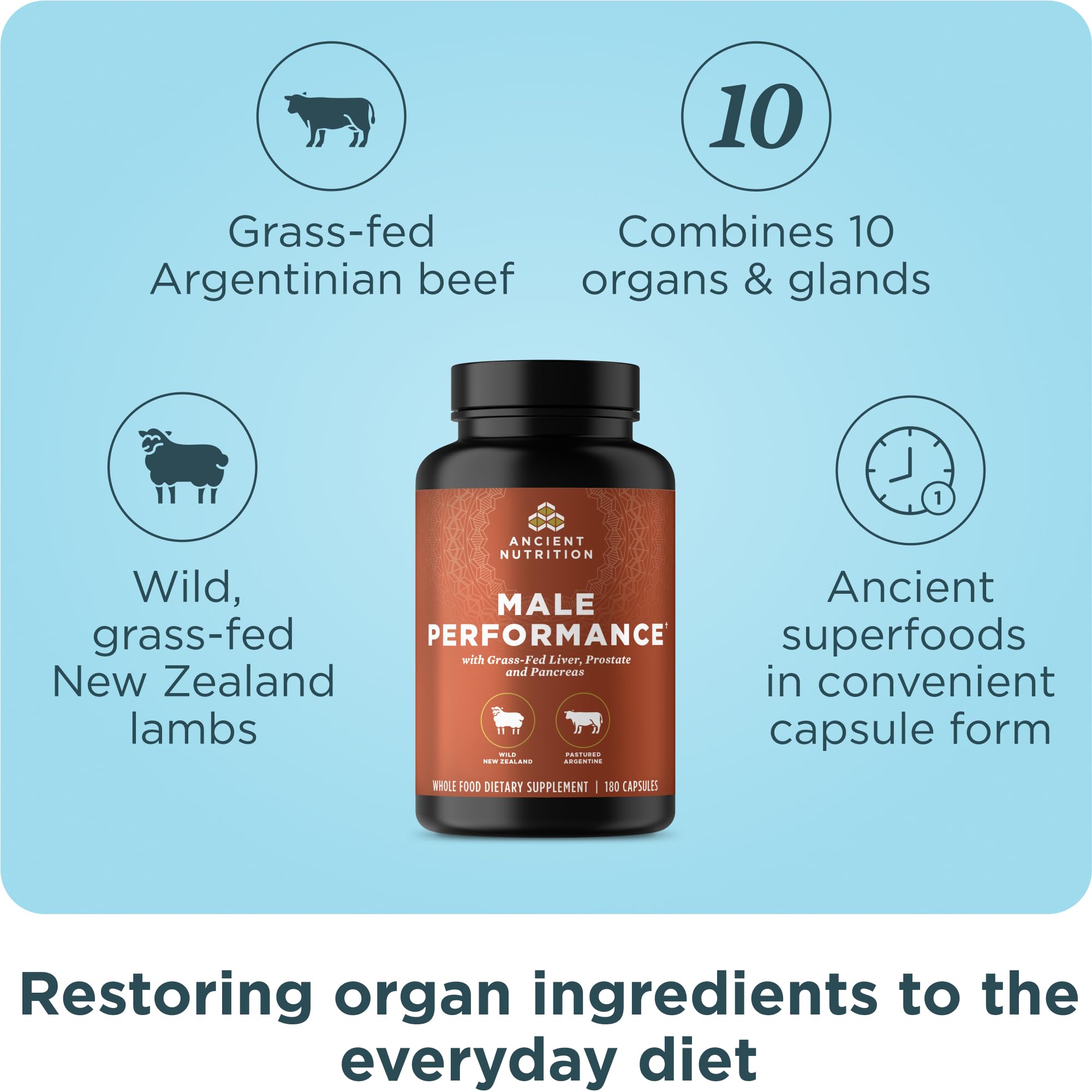 Ancient Nutrition Organ Supplements for Men, Grass-Fed and Wild Organ Complex Capsules, Liver, Prostate, Pancreas Supports Male Performance, Healthy Aging, 180 Ct Ancient Nutrition uk supplements