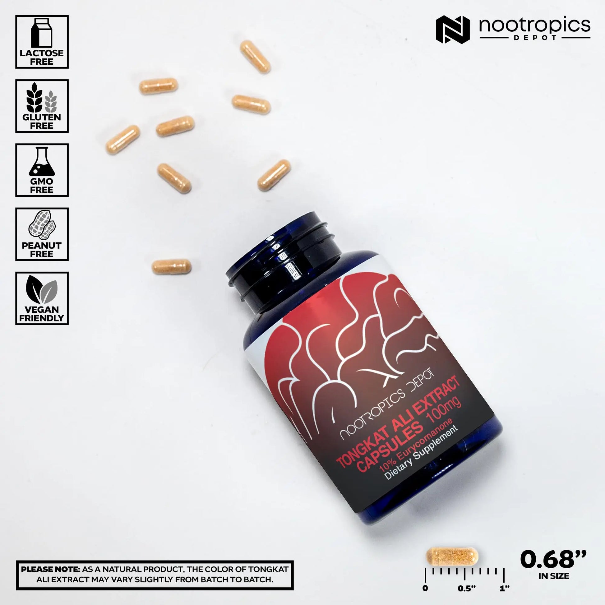 Depot Tongkat Ali Extract Capsules | 100mg | 60 Count | 10% Eurycomanone by HPTLC | Eurycoma longifolia Root Extract Nootropics Depot uk supplements