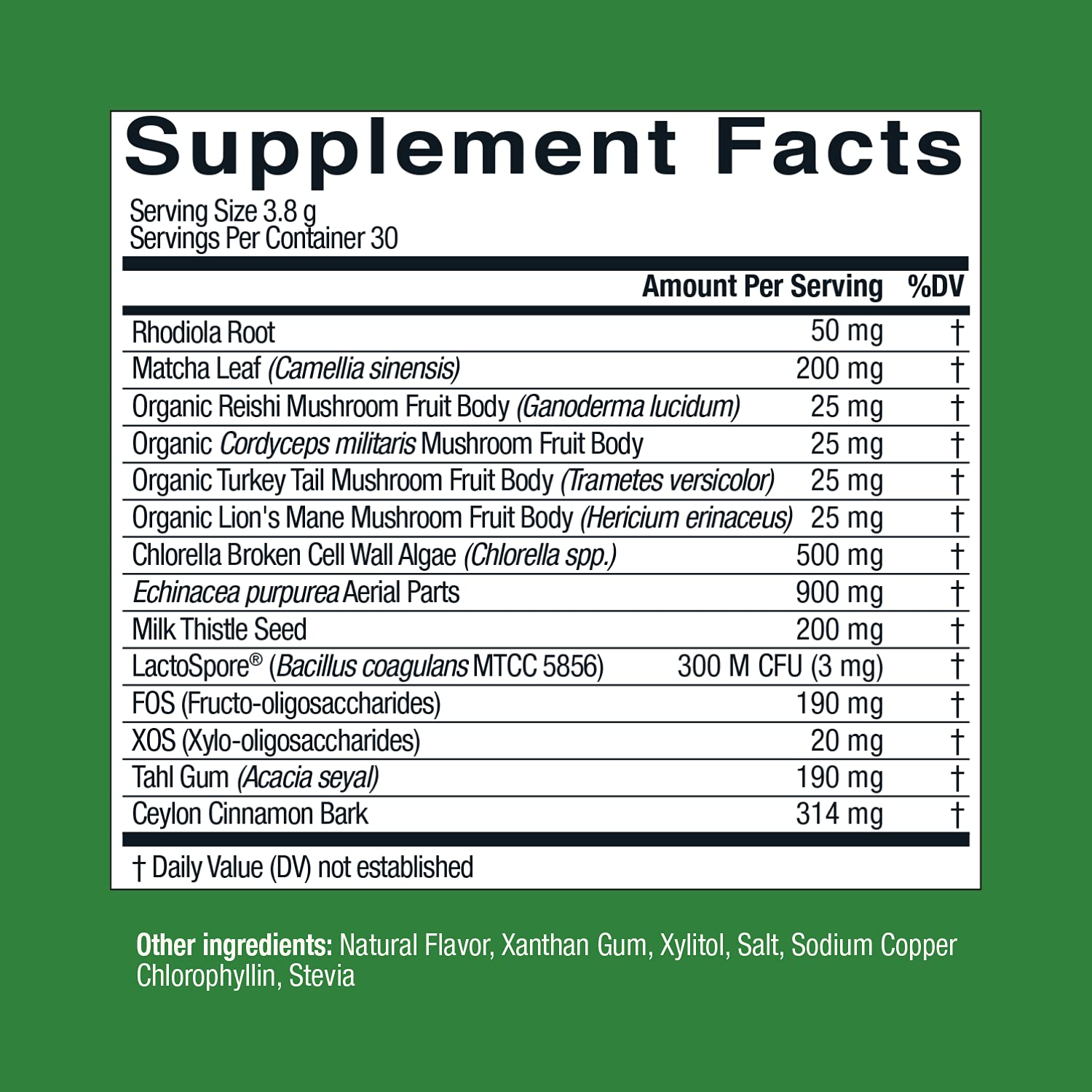 Live Conscious Beyond Greens Concentrated Superfood Powder - Matcha Flavor w/Chlorella, Echinacea, Probiotics for Immune Support & Energy - 30 Servings (2-Pack) Live Conscious uk supplements