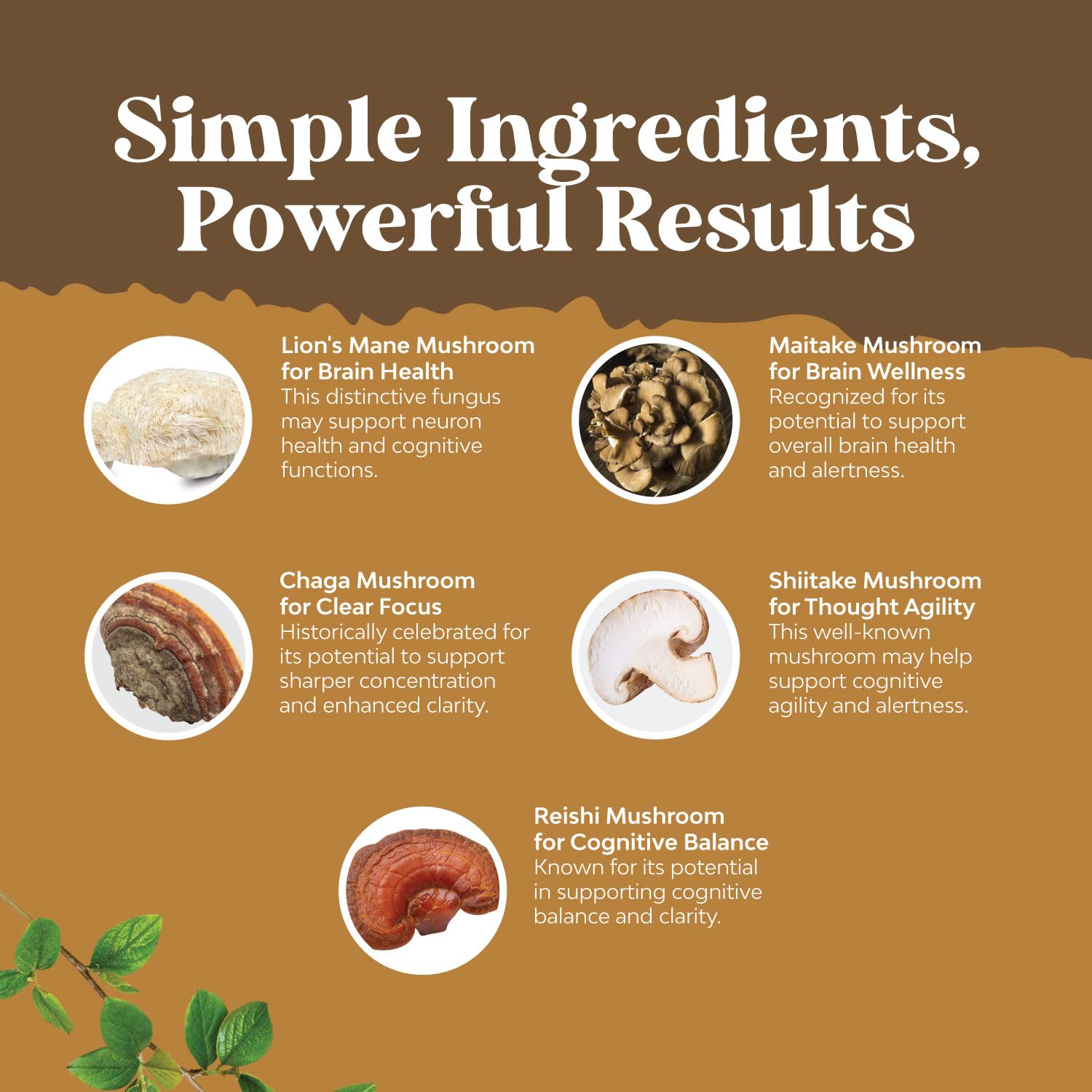 Advanced Lion's Mane Mushroom Supplement - Lions Mane Supplement Capsules with Reishi Chaga Maitake & Shiitake for Brain Health Memory Support & Focus - Nootropic for Mental Clarity - 120 Count Natures Craft uk supplements