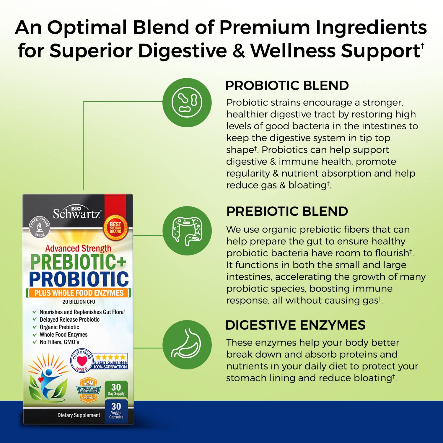 Probiotic & Prebiotic Digestive Health Capsules - 30ct, Gluten & Dairy Free, Non-GMO BioSchwartz uk supplements