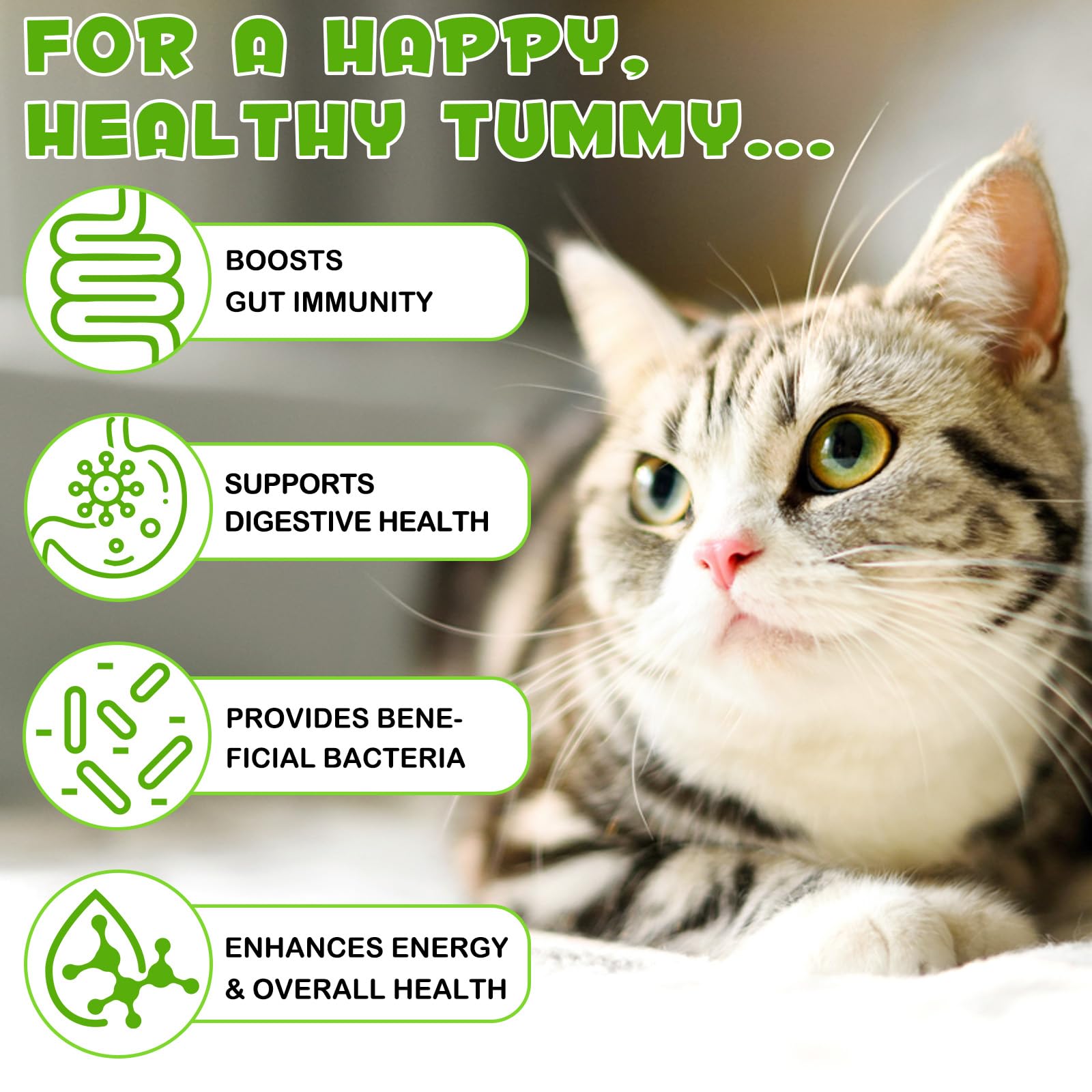 Liquid Cat Probiotic, Natural 3 in 1 Probiotic for Cats, Cat Digestive Support,Gut Health Support,Help with Diarrhea,Gas and Bloating, Cat Herbal Supplements- 60ml VOSIFSDIY uk supplements