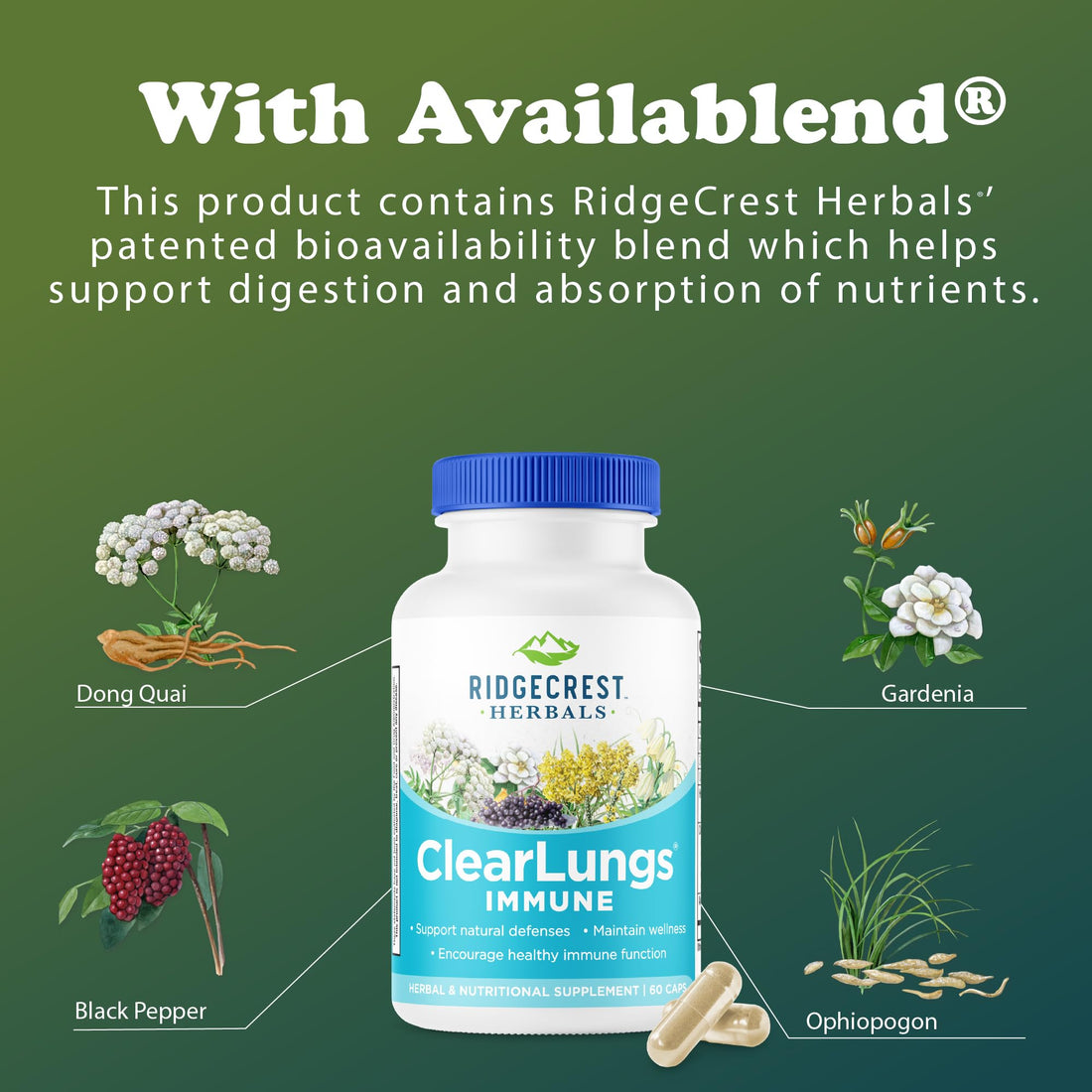RidgeCrest Herbals ClearLungs Immune, Lung Support Supplement with Elderberry, Zinc, Vitamin C, Vitamin A, Olive Leaf, Mullein, Lung Wellness Formula for Respiratory Health (60 Vegan Caps, 30 Serv) RidgeCrest Herbals uk supplements