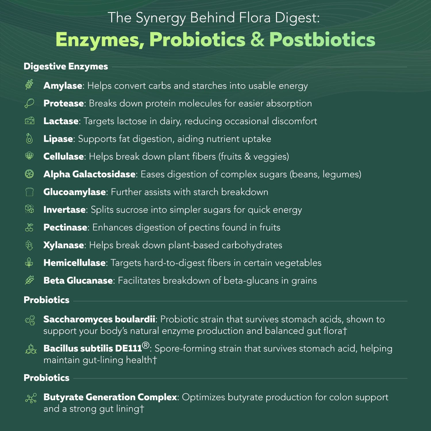 Flora Digest - 3-in-1 Max Strength Digestive Enzymes + Gut Surviving Probiotics & ButyraGen® Postbiotic for Optimal Digestion, Bloating Relief, Regularity, Gut Lining & Colon Support - (60 Capsules) Triquetra Health uk supplements