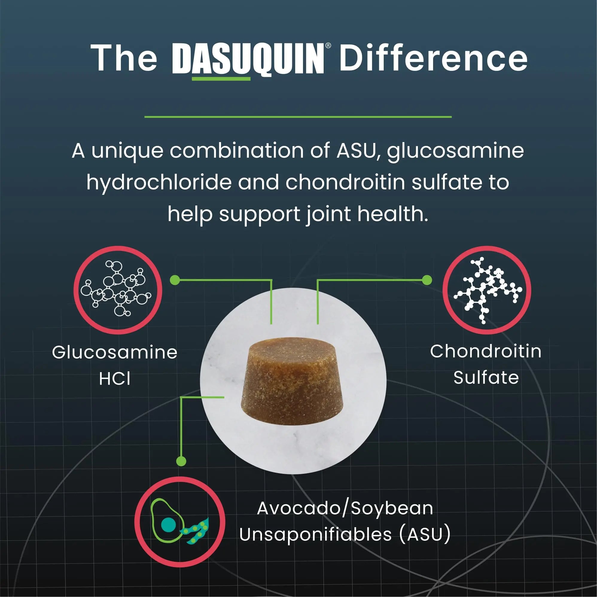 Nutramax Dasuquin Joint Health Supplement for Large Senior Dogs – for Immune Support, Skin & Coat Health, and Brain Health, 84 Soft Chews Nutramax Laboratories uk supplements