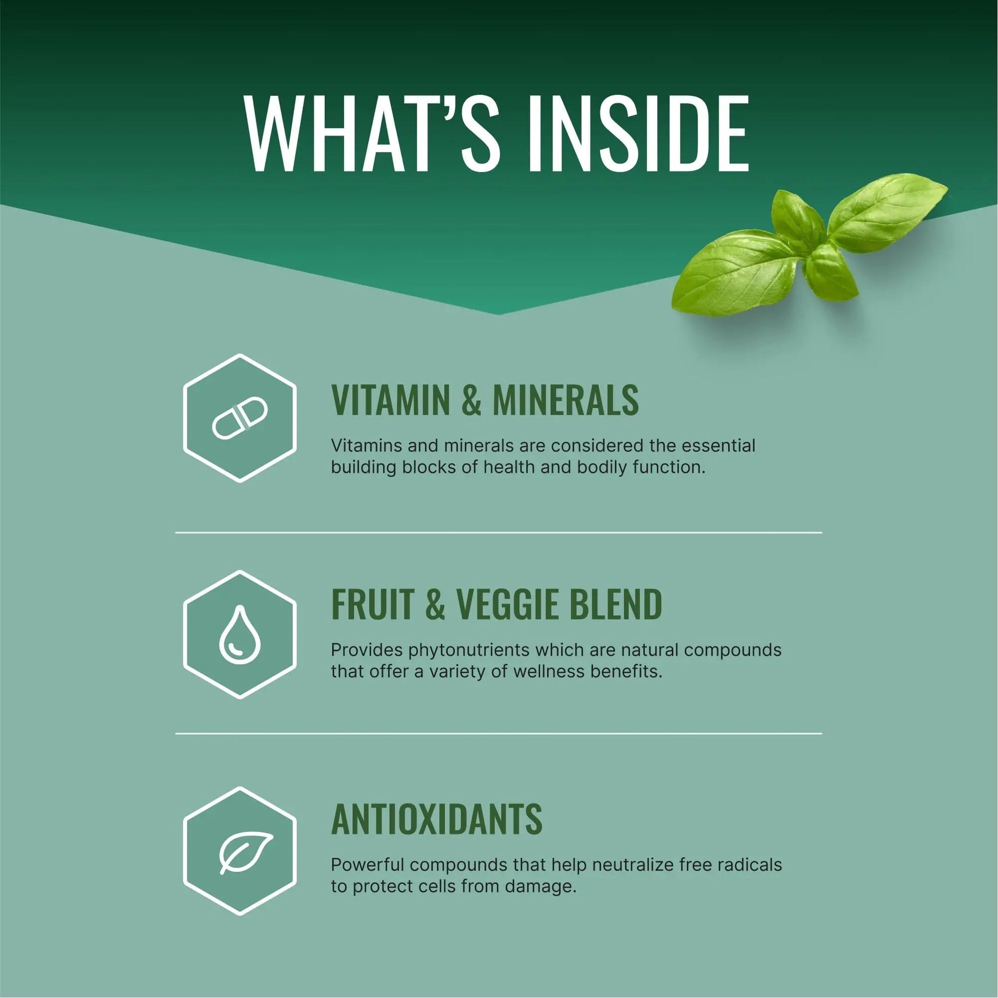 Approved Science Multi-Vitamin - with Full-Spectrum B-Vitamins, Green Tea, Lutein, Lycopene, Zeaxanthin, BioPerine Approved Science uk supplements