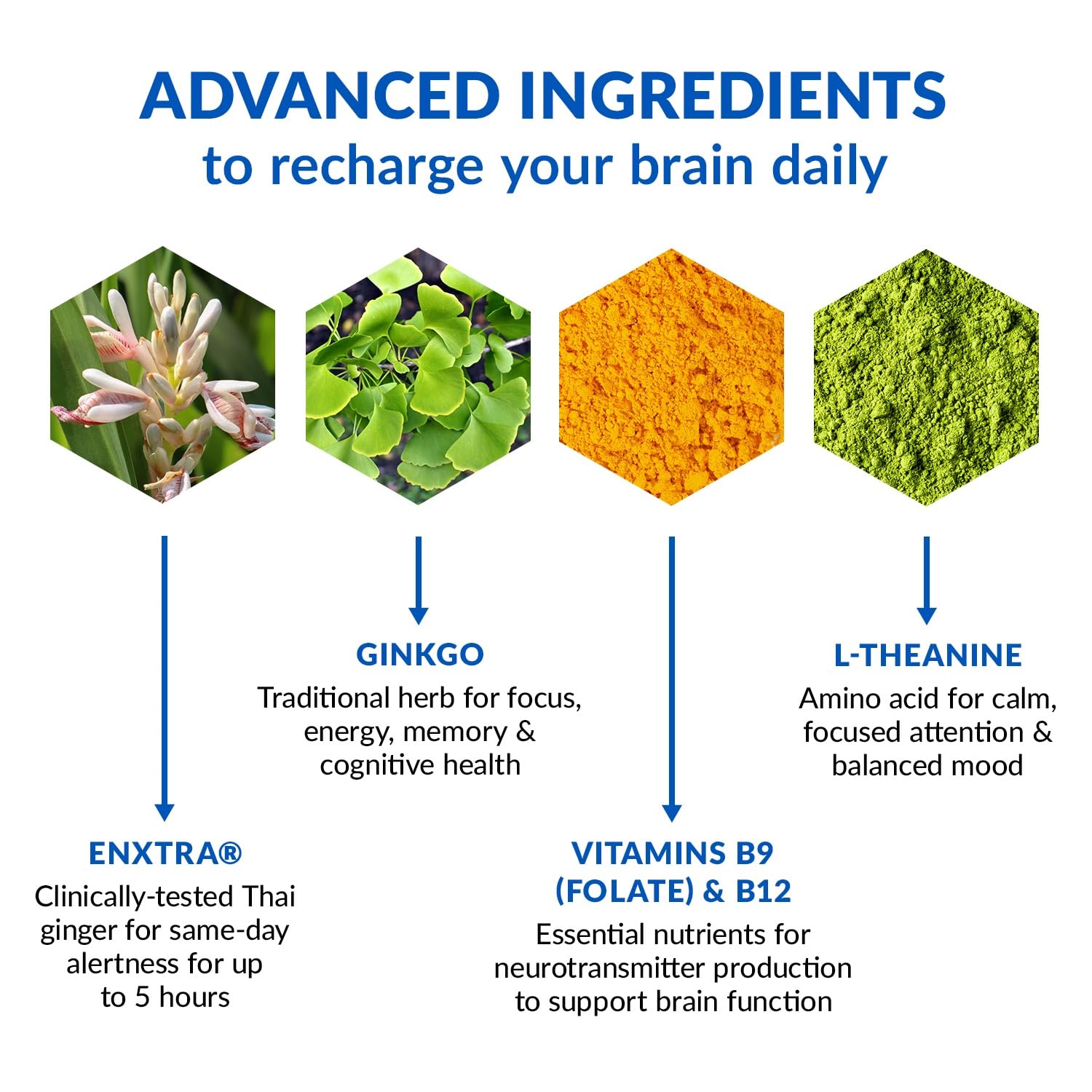 BioTrust Brain Bright – Daily Nootropic Boost for Focus, Concentration, Mental Clarity – Caffeine Free Nootropics Brain Support Supplement – Thai Ginger, Ginkgo, Folate, L-Theanine – 30 Servings BioTrust uk supplements