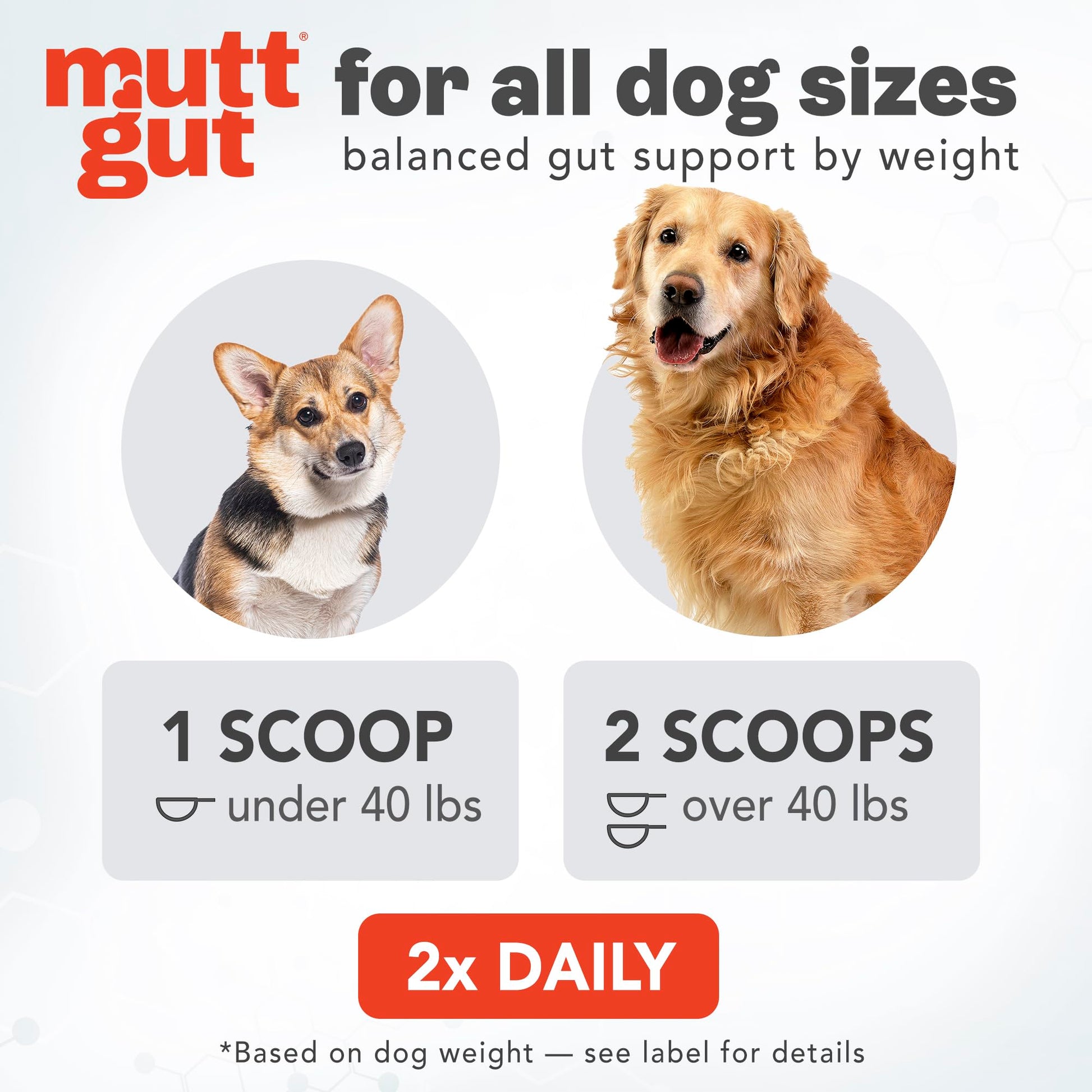 All-Natural 3-in-1 Dog Probiotic, Prebiotic, and Postbiotic Supplement Powder - Probiotics for Dogs with 135 Billion CFUs, Anti Diarrhea, Digestive Enzymes & Antioxidants (60g) MUTTGUT uk supplements
