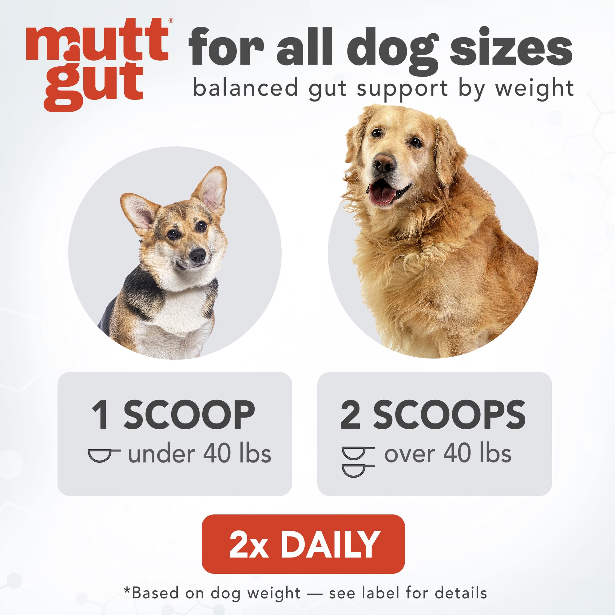 All-Natural 3-in-1 Dog Probiotic, Prebiotic, and Postbiotic Supplement Powder - Probiotics for Dogs with 135 Billion CFUs, Anti Diarrhea, Digestive Enzymes & Antioxidants (60g) MUTTGUT uk supplements
