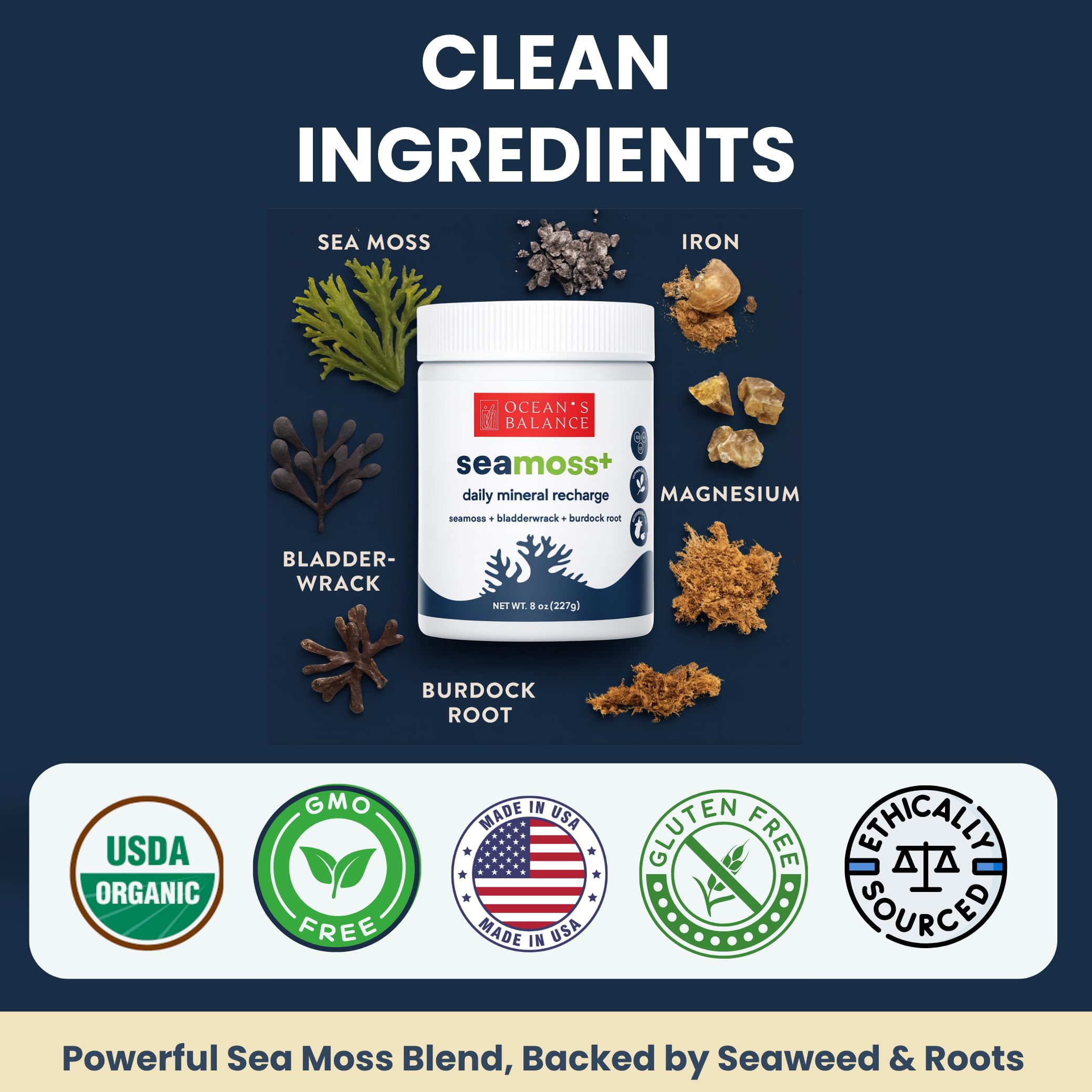 Ocean's Balance Seacleanse+ Daily Detox Cleanse Powder | Gut Health & Immune Support | Supports Gentle Cleanse & Vitality | 8oz Ocean's Balance Clean Taste of Maine uk supplements