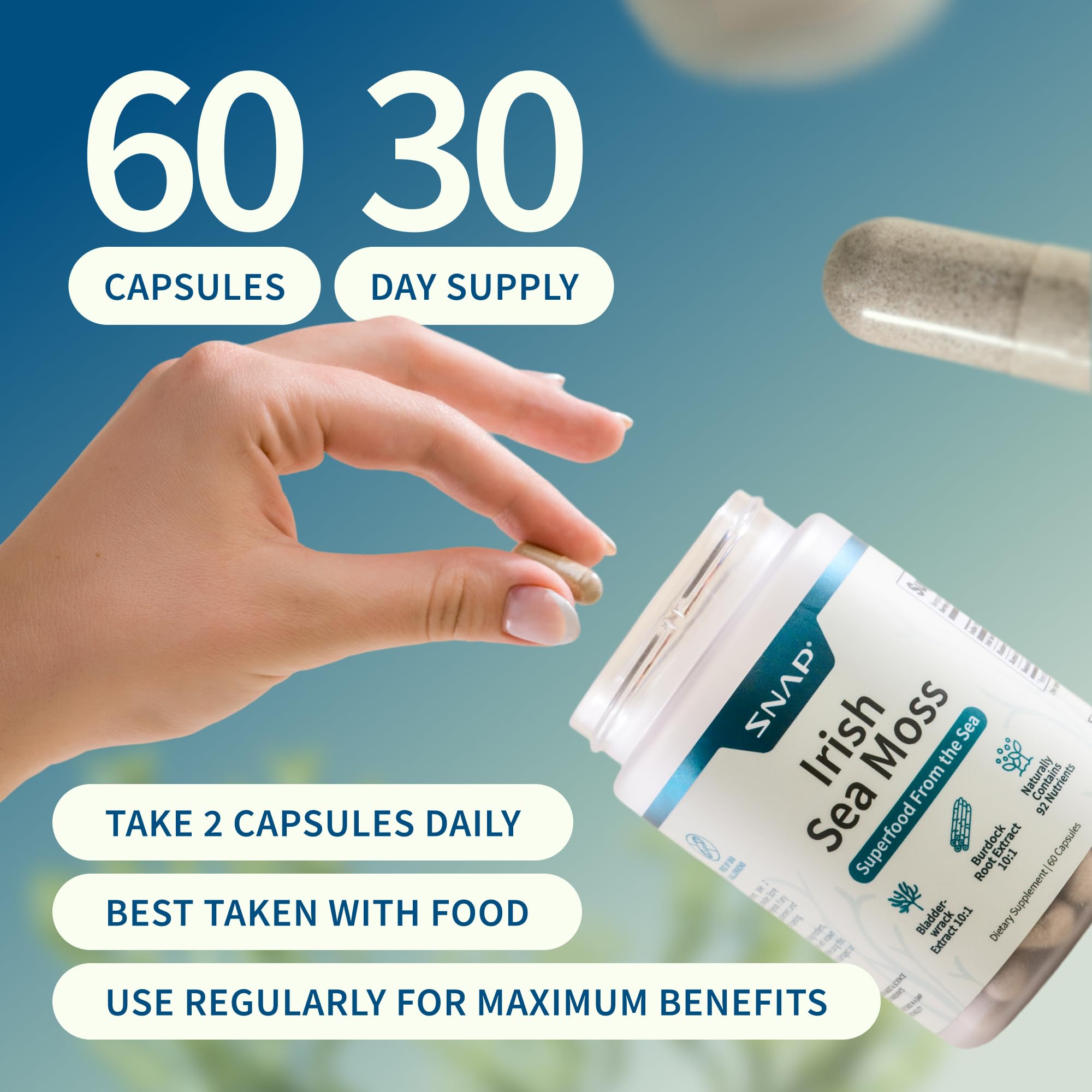 Snap Supplements Irish Sea Moss with Bladderwrack, Burdock Root & Iodine – Natural Sea Moss Supplement to Support Gut Health, Energy & Healthy-Looking Skin, 60 Vegan Capsules (1 Month Supply) Snap Supplements uk supplements