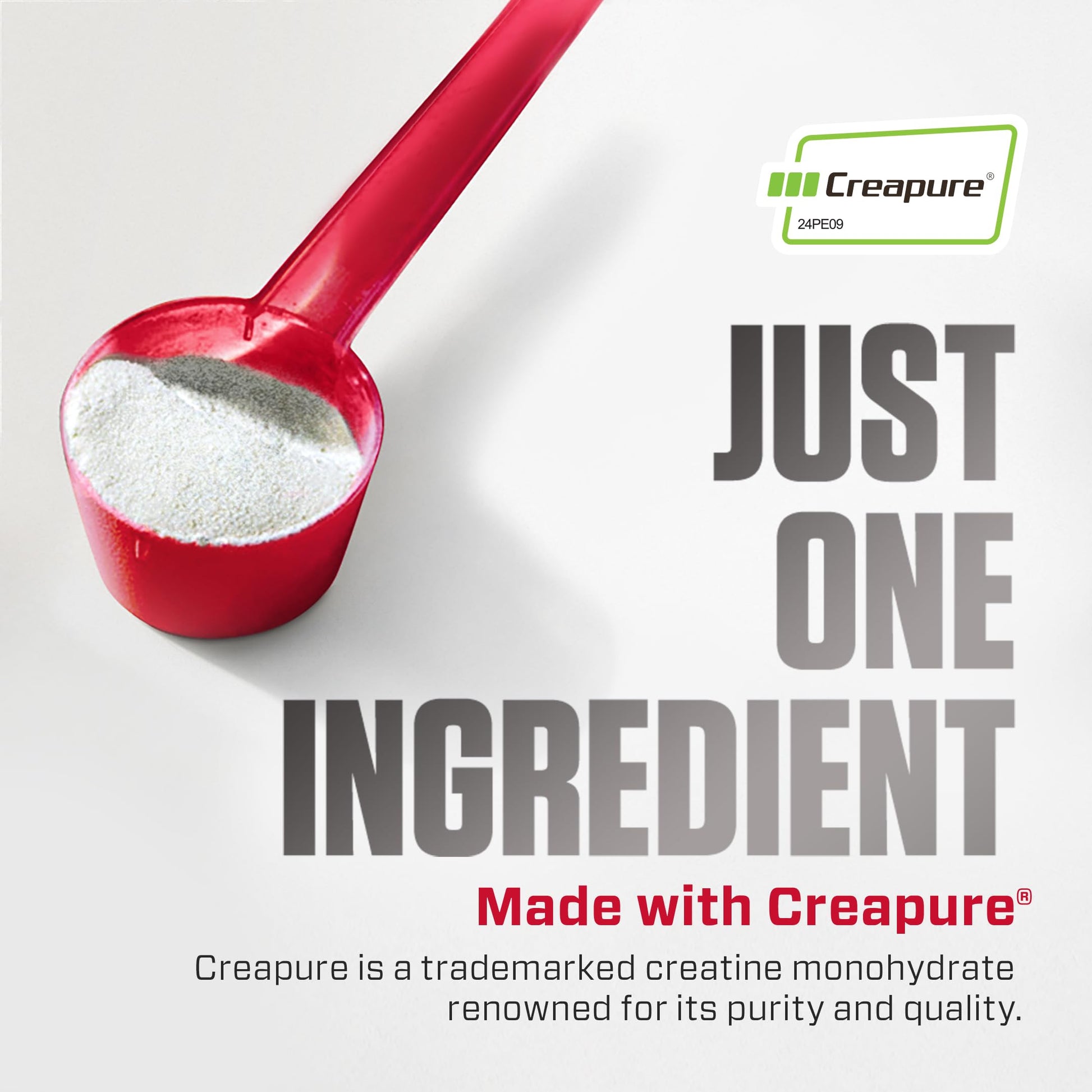 Dymatize 100% Creatine Monohydrate with Creapure, 5g Per Serving, 60 Servings (300g), Creatine for Women and Men, Gluten Free Dymatize uk supplements
