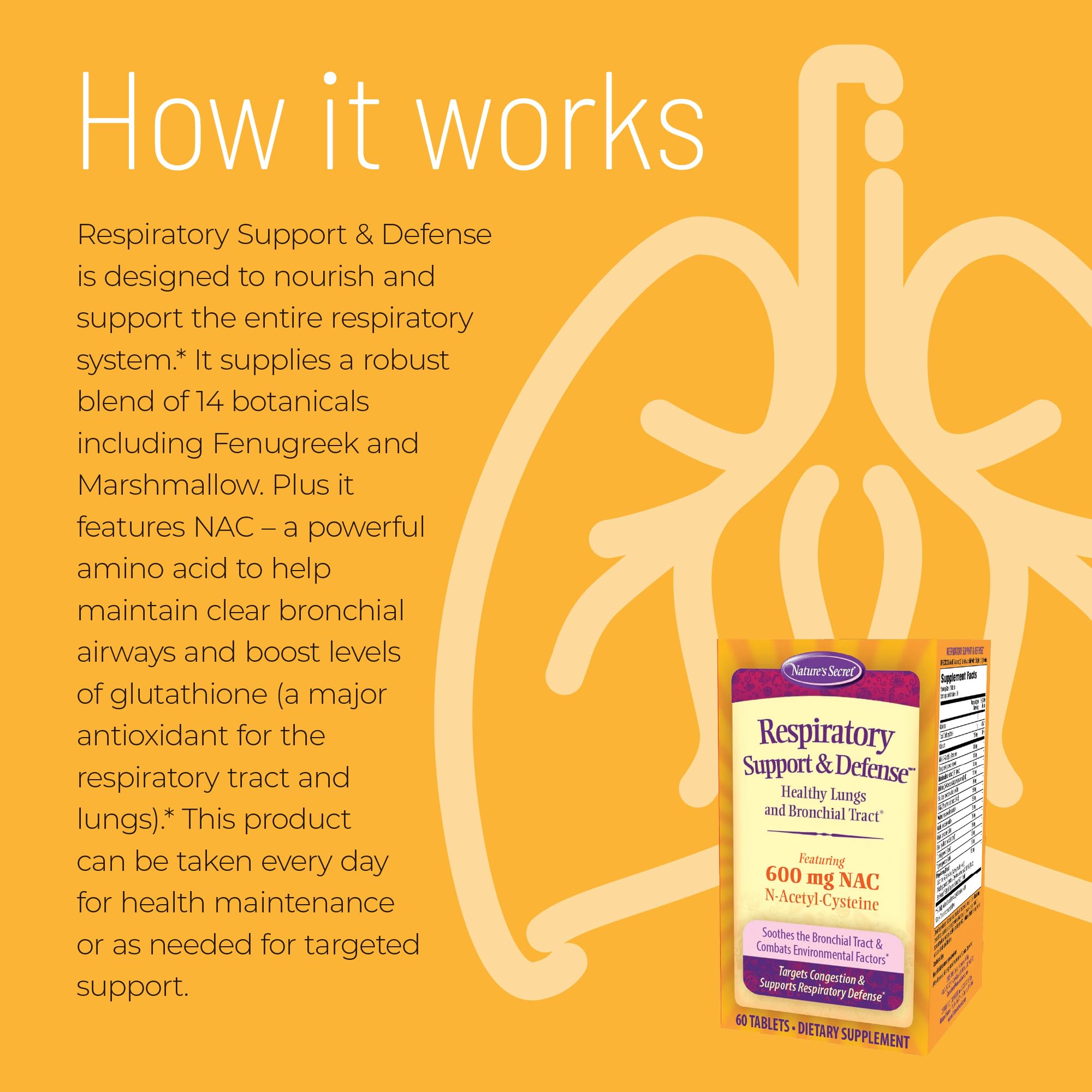 Nature's Secret Respiratory Support & Defense - 60 Tablets - Promotes Healthy Lungs & Bronchial Tract - With NAC, Fenugreek & Marshmallow - 30 Total Servings Nature's Secret uk supplements