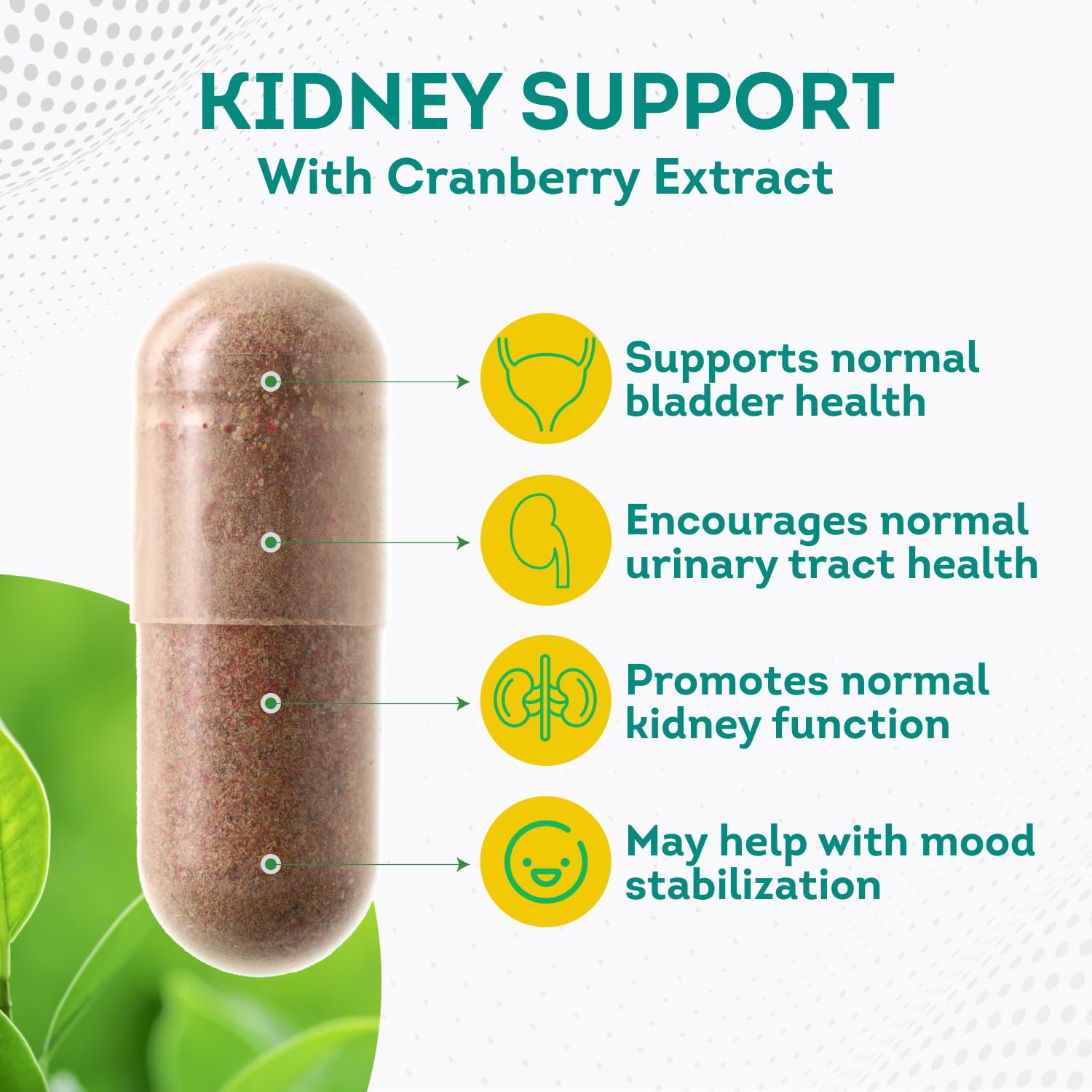 PurePremium Kidney Support Supplement with Cranberry Extract - Kidney Cleanse, Detox PurePremium Supplements uk supplements