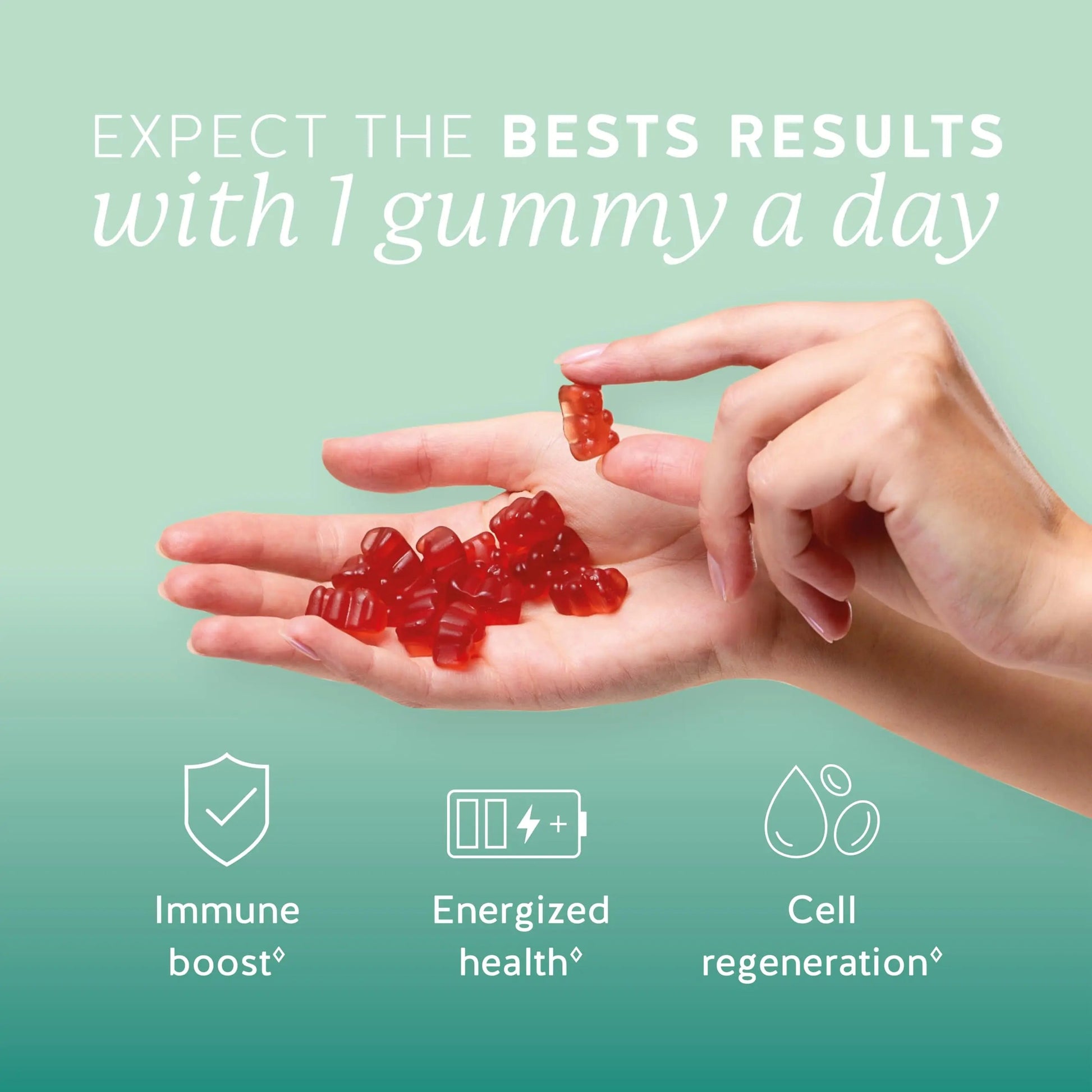 Bears with Benefits Immune Support Gummies – Vitamin C, D, B6 & B12 – Daily Immune Boost – Vegan, Naturally Flavored (30 Gummies) Bears with Benefits uk supplements