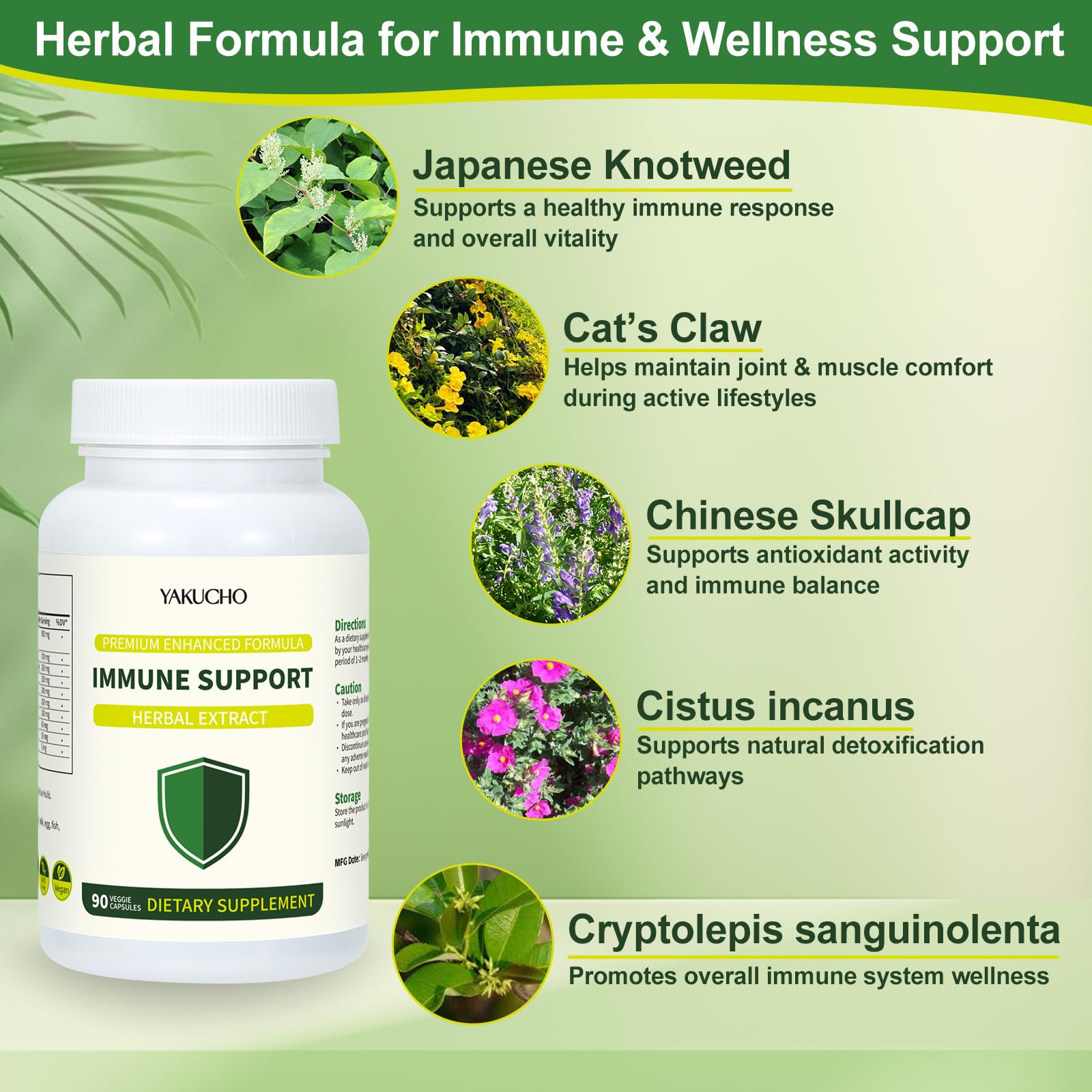 Herbal Immune Support Supplement, Vegan Capsules with Japanese Knotweed, Cat’s Claw, Skullcap & Sanguinolenta, Supports Immune Health & Overall Wellness, Gluten-Free Yakucho uk supplements