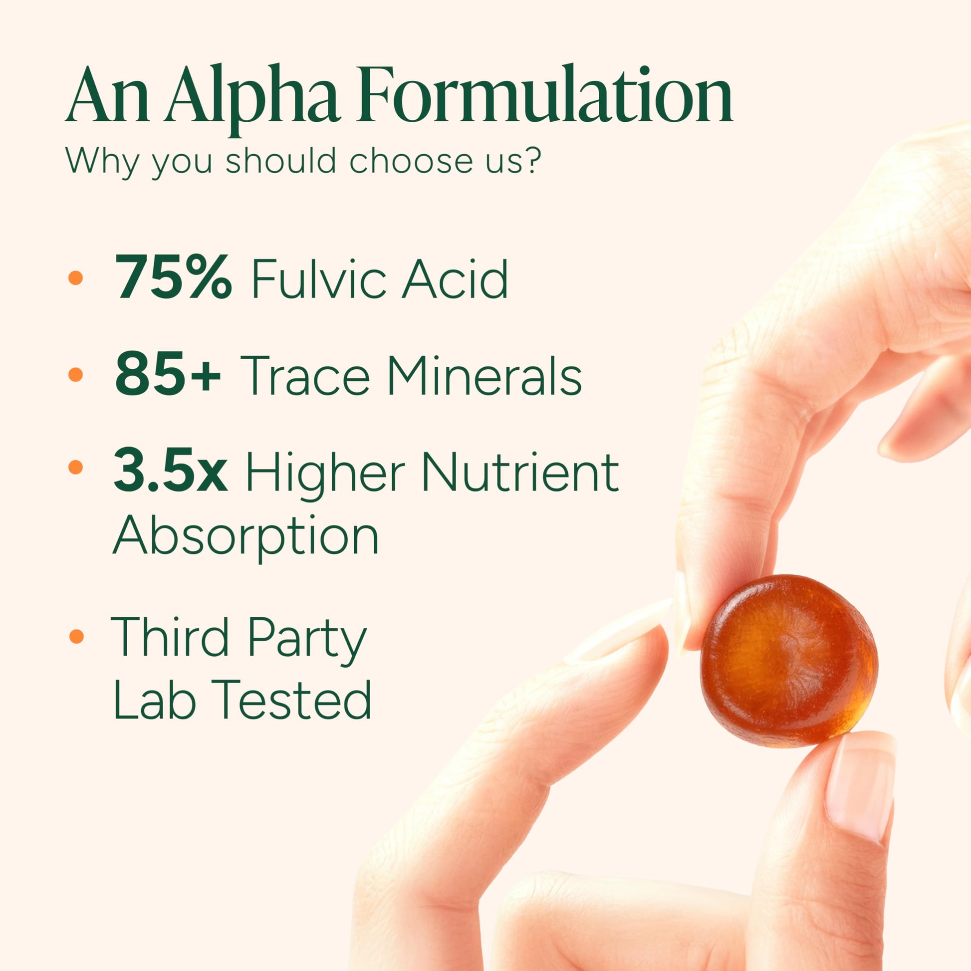 ROOT LABS 10-in-1 Alpha Shilajit Gummies | 4000 mg Pure Himalayan Shilajit with Tongkat Ali & Maca Root | Shilajit for Men & Women | ShilAbsorb Bioavailability Tech | Sugar-Free, Vegan | 60 Gummies ROOT LABS uk supplements