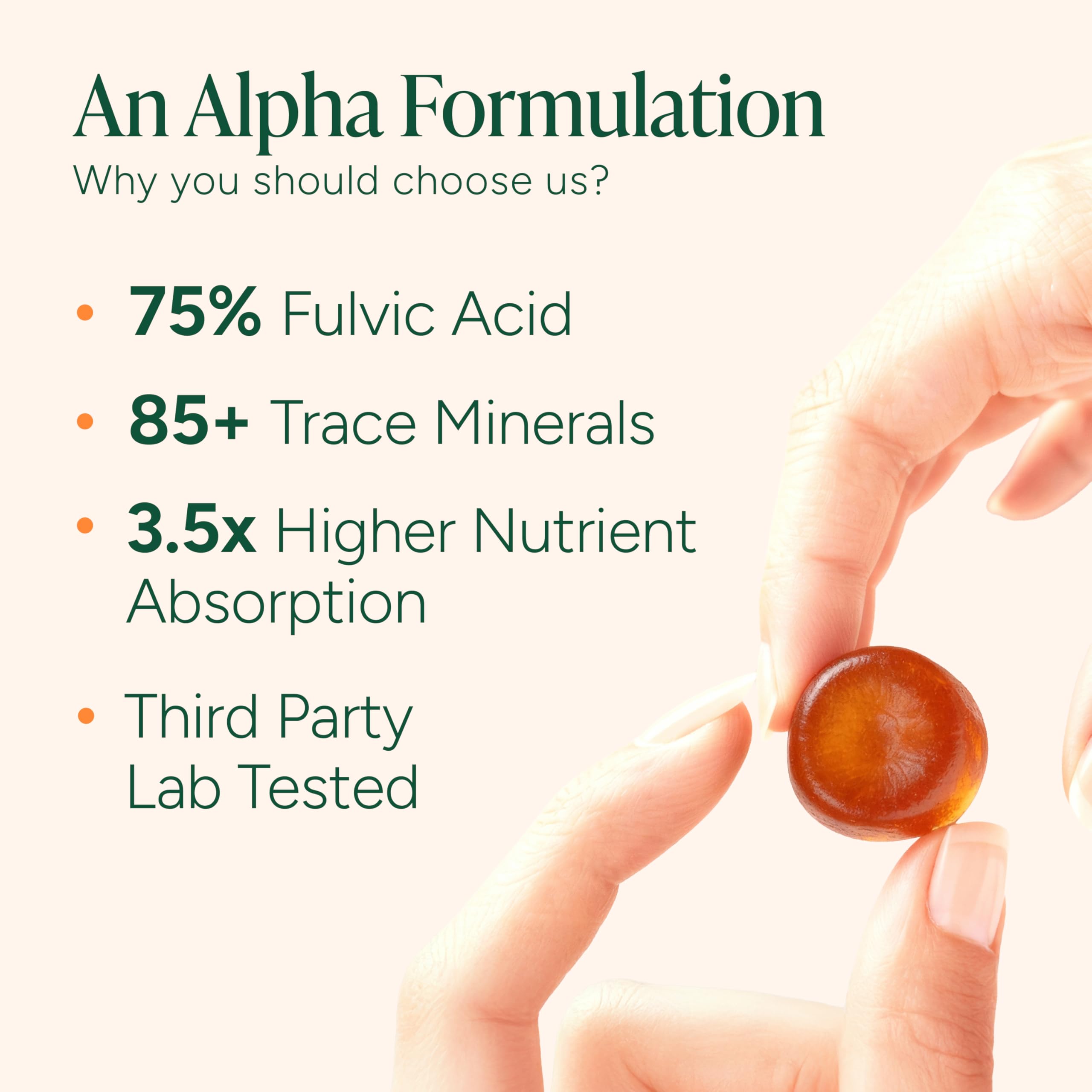 ROOT LABS 10-in-1 Alpha Shilajit Gummies | 4000 mg Pure Himalayan Shilajit with Tongkat Ali & Maca Root | Shilajit for Men & Women | ShilAbsorb Bioavailability Tech | Sugar-Free, Vegan | 60 Gummies ROOT LABS uk supplements
