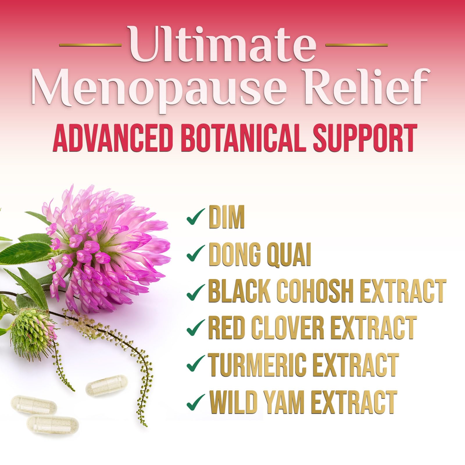 Menopause Supplement for Women - Natural Menopause Relief Support for Mild Hot Flashes & Night Sweats - Best Probiotics for Women, Dong Quai, Black Cohosh, Ashwagandha - Bottled in USA - 60 Capsules Nature's Nutrition uk supplements