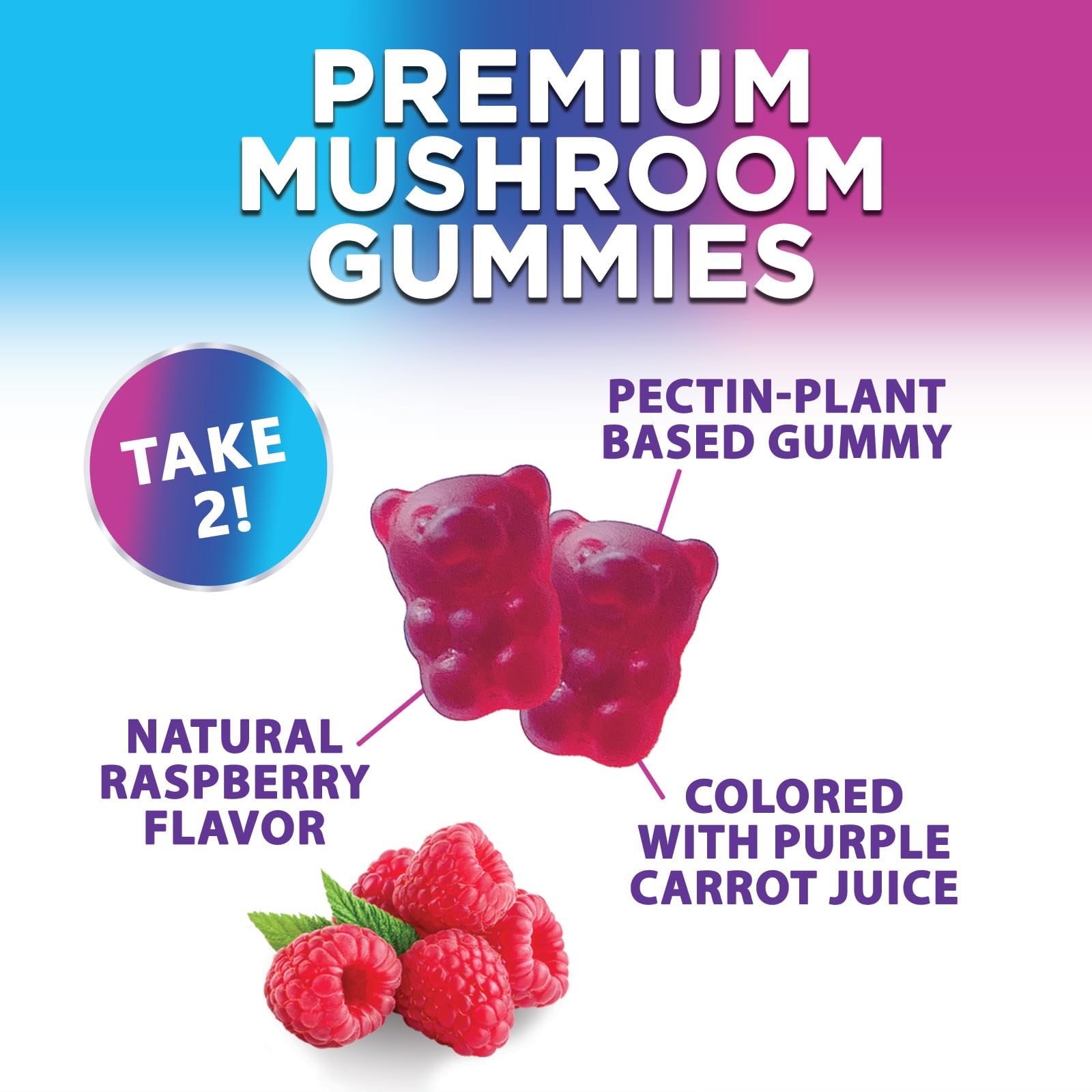 Mushroom Gummies Supplement 12 in 1 - High Grade Blend for Adults with Lions Mane, Reishi, Cordyceps, & Chaga Mushroom Complex Gummy, Memory & Immune Support & Nootropic Brain Supplements - 60 Gummies Nature's Nutrition uk supplements