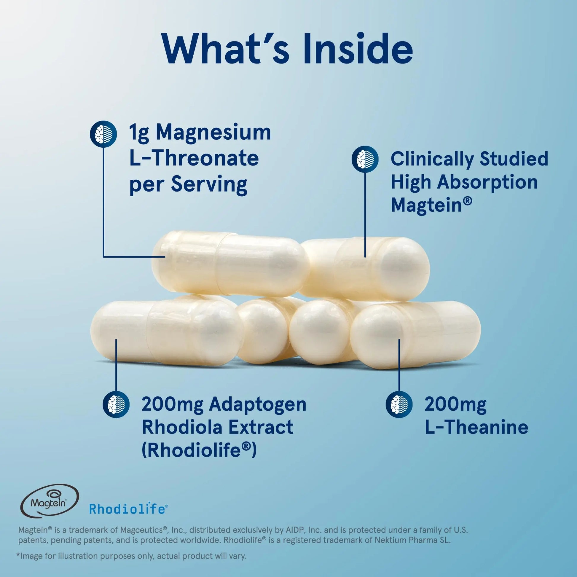 Jarrow Formulas Magnesium L-Threonate, MagMind Stress Resistance with L-Theanine and Rhodiolife, High Absorption Magnesium, Stress Relief and Mood Support, 60 Veggie Capsules, Up to a 30 Day Supply Jarrow Formulas uk supplements