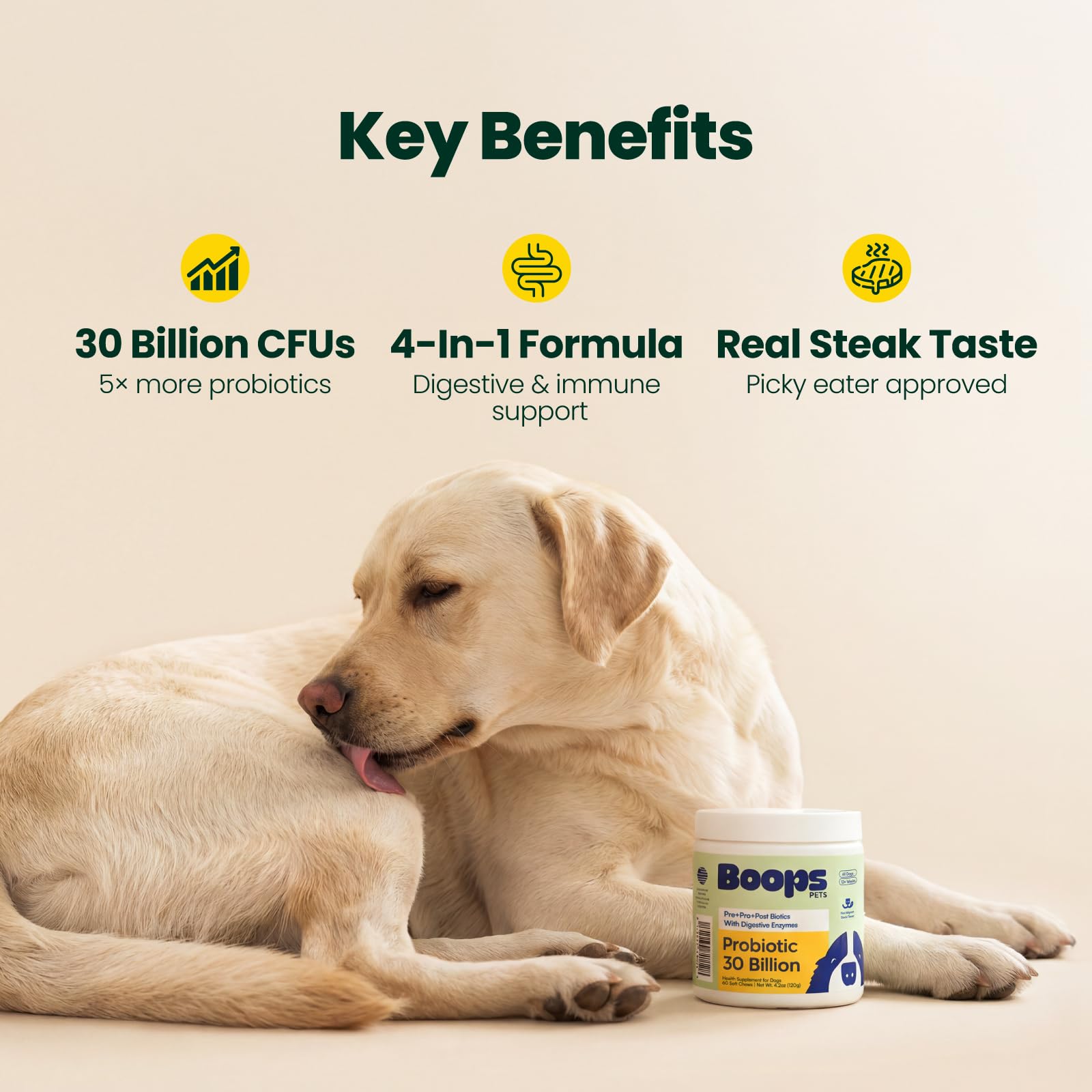 Boops Pets Probiotics for Dogs – 30 Billion CFU with Pre, Postbiotics & Digestive Enzymes – Supports Gut Health, Immunity, Loose Stools & Allergies – Filet Mignon Flavor – Vet Formulated – 60 Chews Boops Pets uk supplements