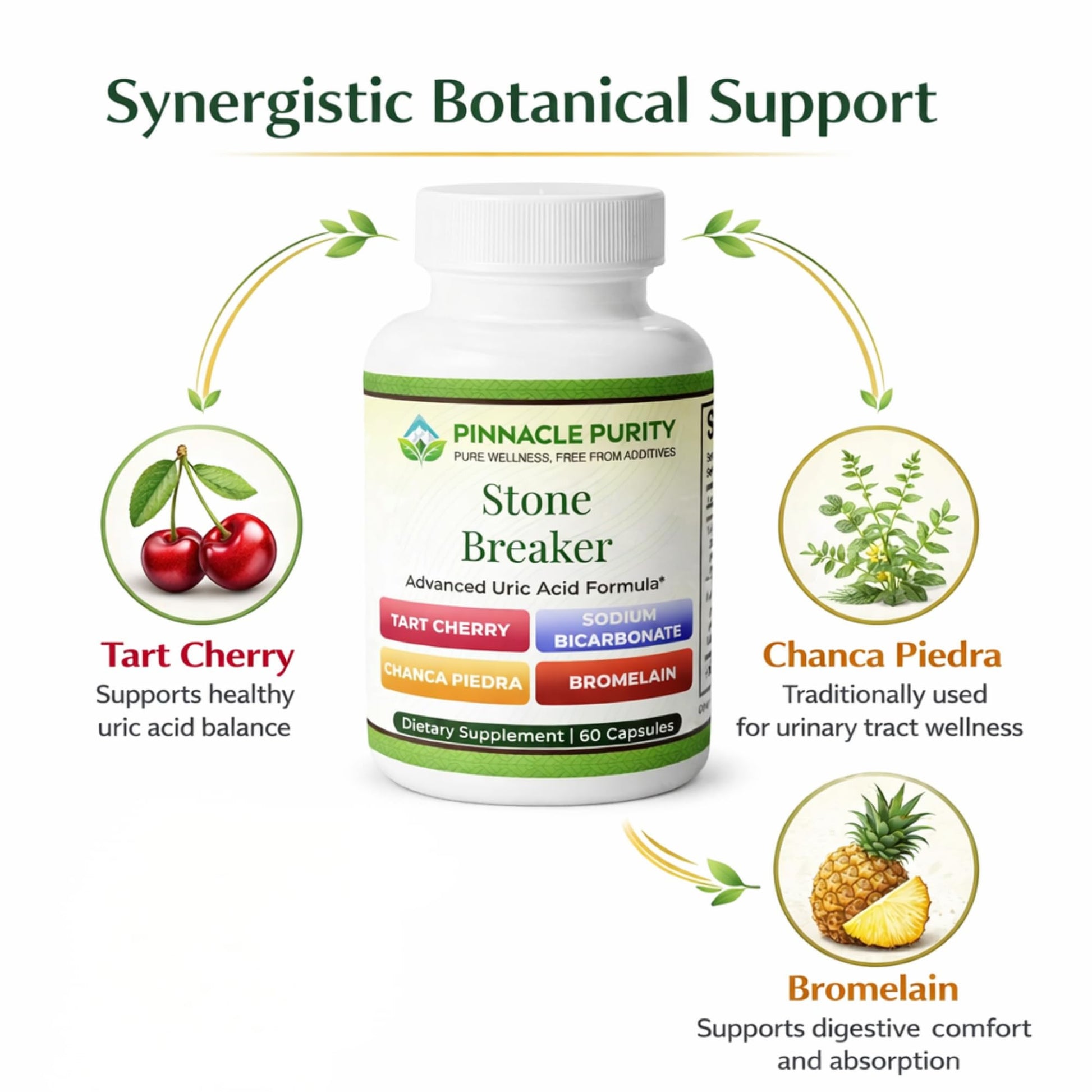 Pinnacle Purity Stone Breaker 60 Capsules, With Chanca Piedra, Tart Cherry & Bromelain – Supports Kidney & Liver Balance, Promotes Gentle Stone Management, Enhances Natural Cleansing Pathways, Non-GMO Pinnacle Purity uk supplements
