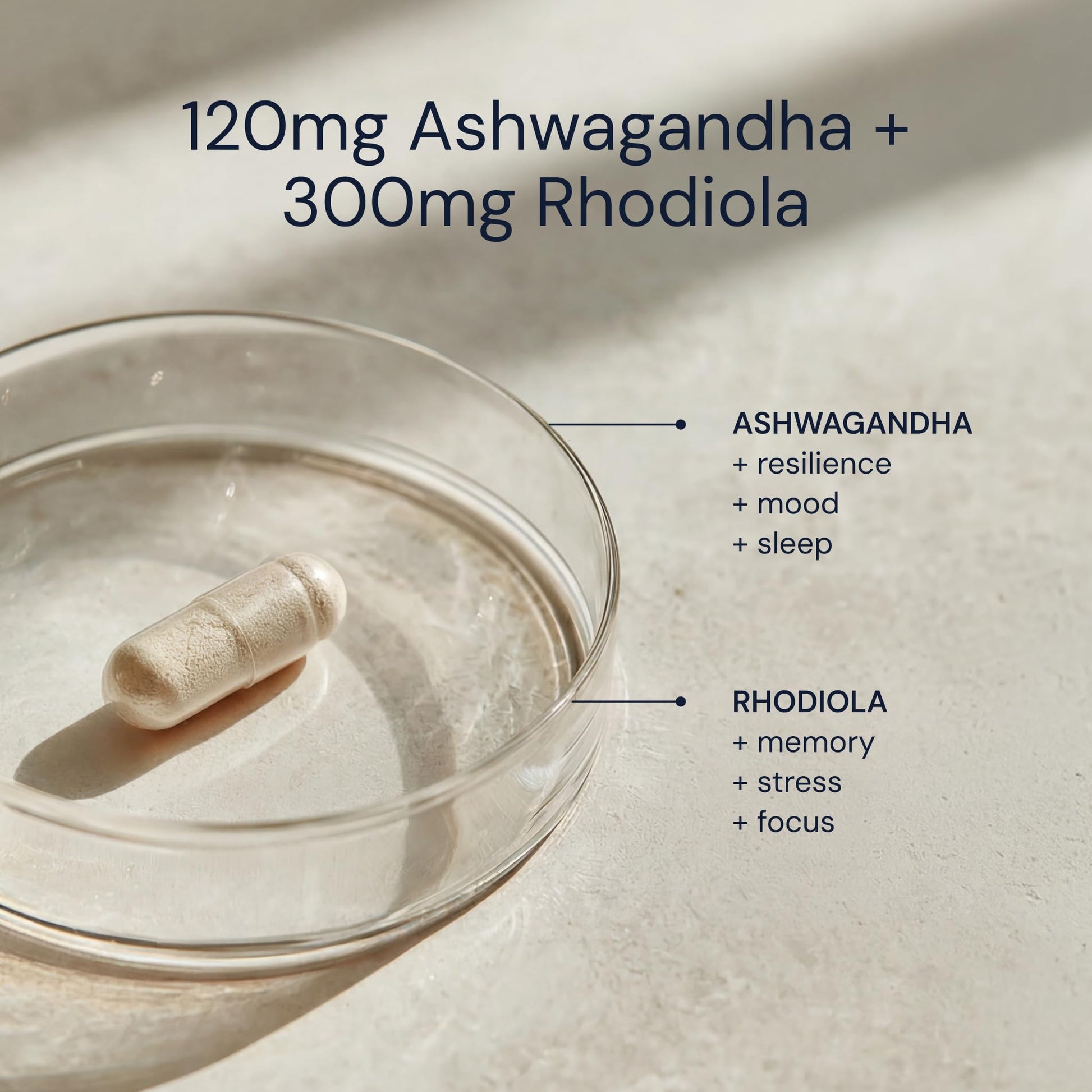 Blueprint Bryan Johnson Ashwagandha & Rhodiola Supplement – 120mg Ashwagandha + Rhodiola Root – Daily Adaptogen Capsules for Stress Support, Mood Balance, Energy & Focus – 30 Vegan Capsules Blueprint Bryan Johnson uk supplements