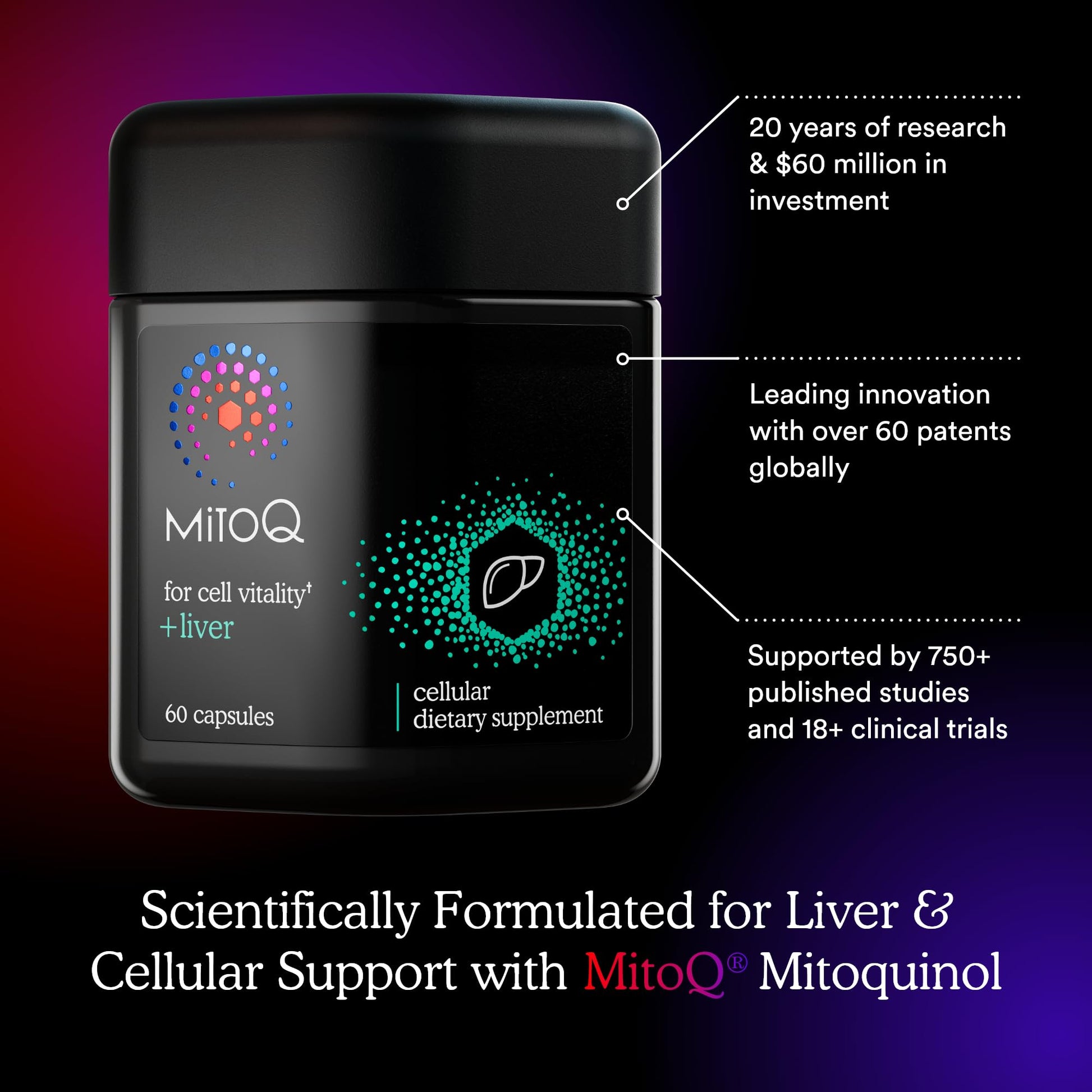 MitoQ +Liver – Advanced Liver Supplement with Highly Bioavailable Milk Thistle, Choline, Selenium Mitoquinol – Supports Metabolism, Body’s Natural Detoxification & Liver Health – 60 Capsules MitoQ uk supplements