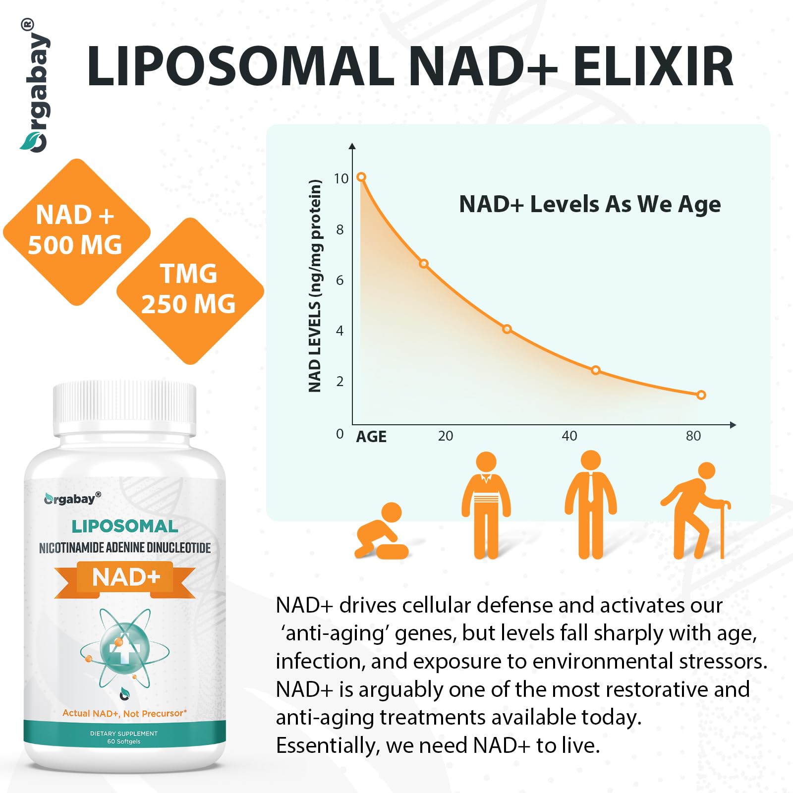 Orgabay Liposomal NAD+ Supplement 500 mg, High Absorption, Boost NAD+ with TMG 250 mg, Actual NAD Plus More Efficient Than Nicotinamide Riboside, Support Cellular Energy, Healthy Aging | 240 Softgels Orgabay uk supplements