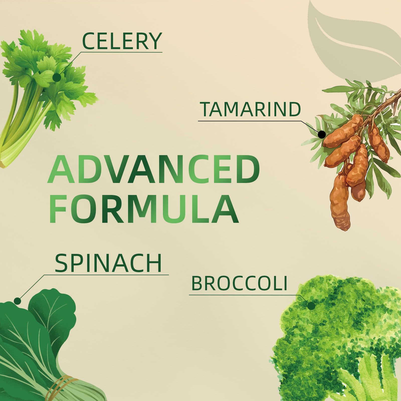 Greenshoots Super Food Gummies with Super Greens Blend, Vitamin A & C – Broccoli, Spinach, Moringa & Chlorella – Vegan, Sugar Free, Daily Nutrition Support, 60 Gummies Greenshoots uk supplements