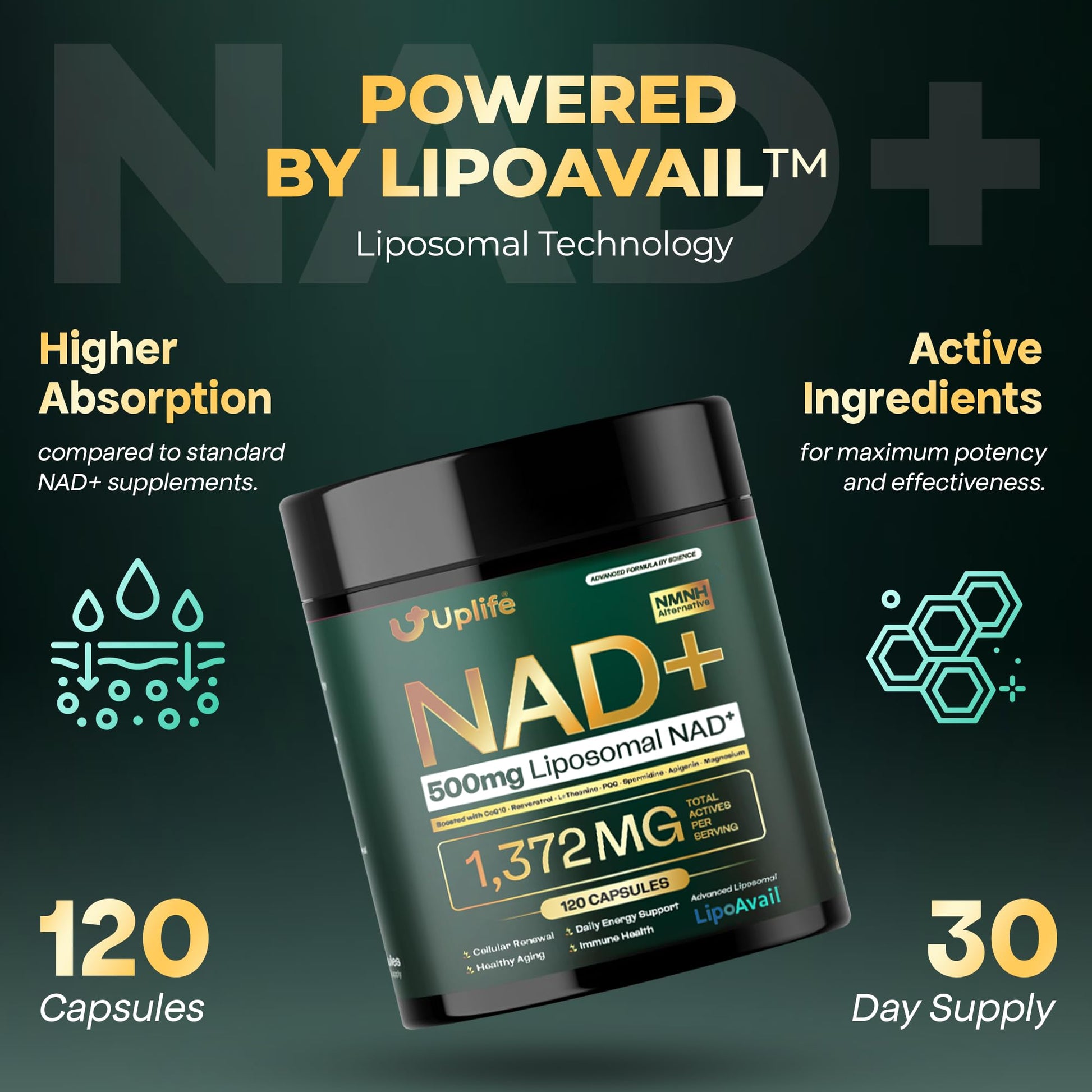 UPLIFE NAD+ Supplement 1,372mg – Liposomal NAD+ with CoQ10, Resveratrol, Spermidine, L-Theanine, Apigenin & PQQ – NMNH Alternative Booster Cellular Energy, Healthy Aging, Immune Health – 120 Capsules UPLIFE uk supplements