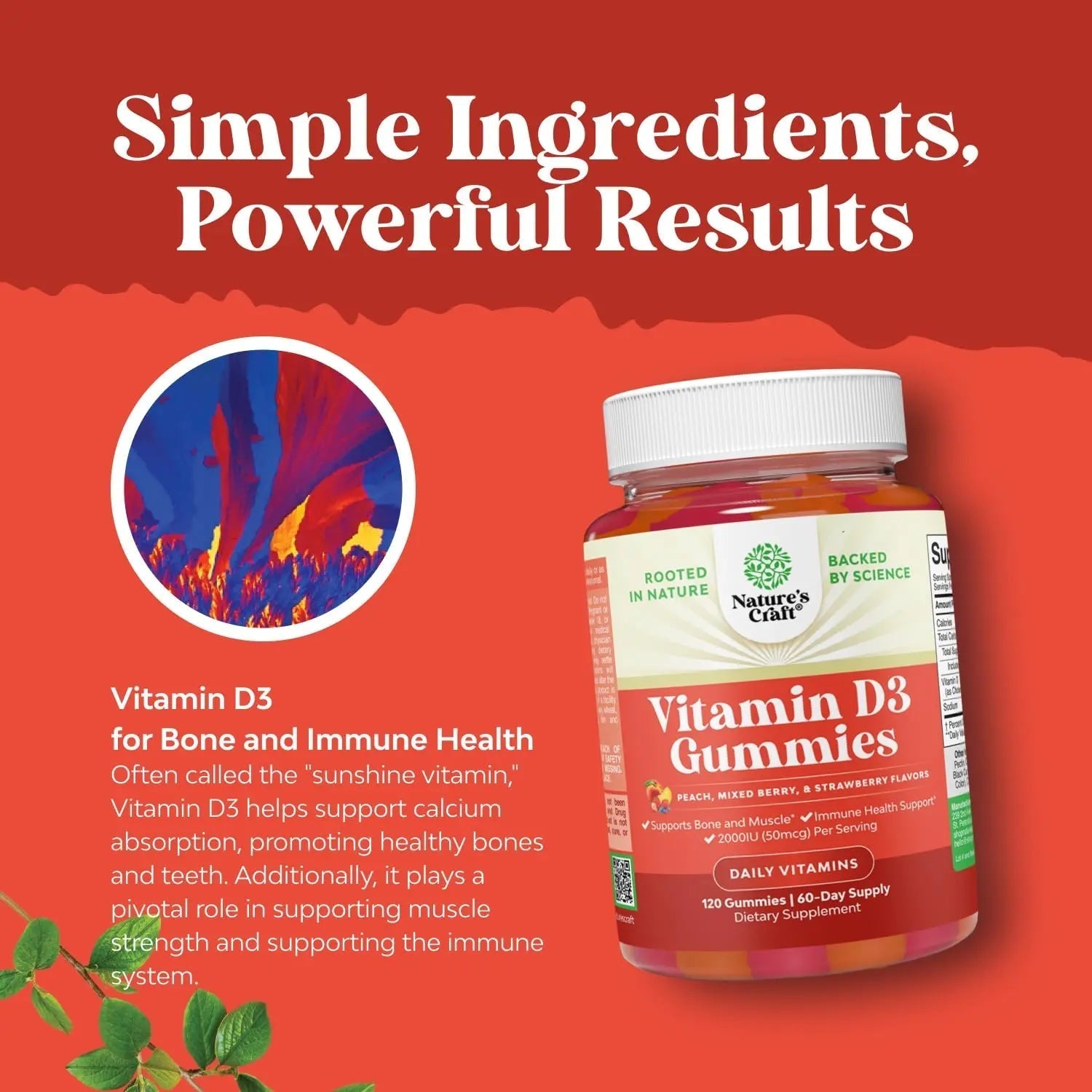 Bundle of Potent Daily Multivitamin Gummies - Wellness Blend of Vitamin D A C E B12 Zinc & Biotin for Energy & Immunity and Vitamin D3 Gummies Natures Craft uk supplements