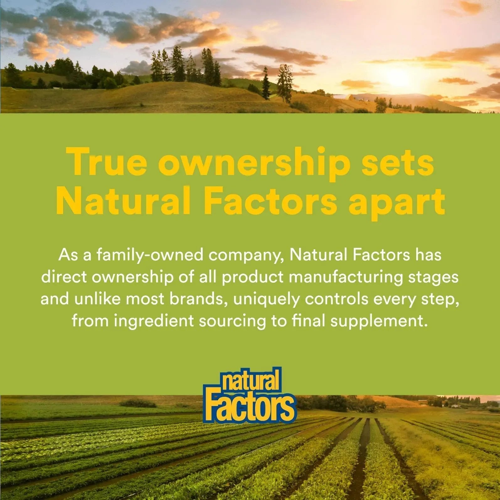 Natural Factors Whole Earth & Sea Men's Multivitamin s& Mineral, 1 Serving Contains Nutrition Equivalent to ½ lb of Veggies, 120 Tablets Natural Factors uk supplements