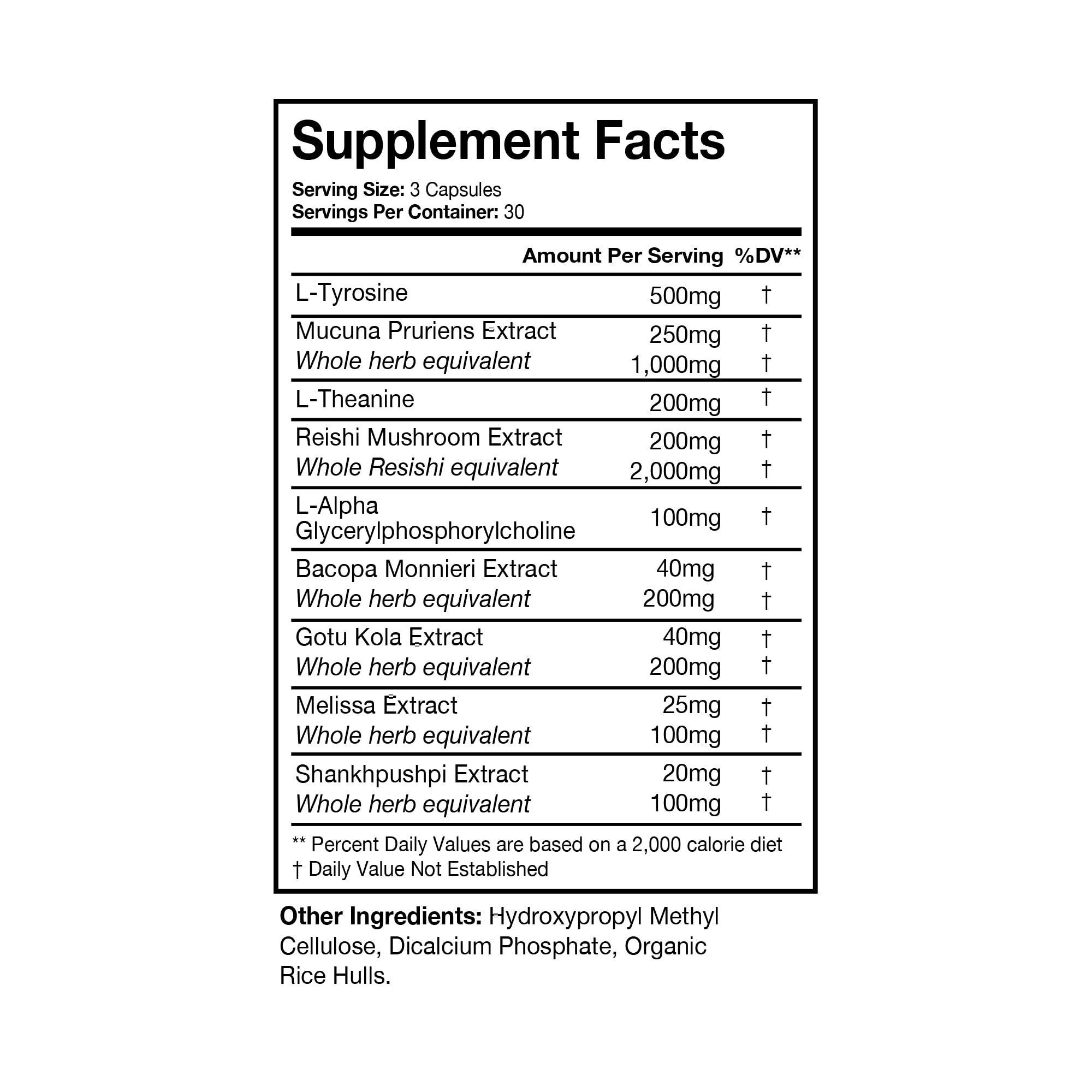 Terra Health Essentials NOOFOCUS - Nootropics Brain Support Supplement with Adaptogenic Mushrooms, Alpha-GPC, Gotu Kola, L-Theanine for Focus & Memory - All Natural, 30 Day Supply Terra Health Essentials uk supplements