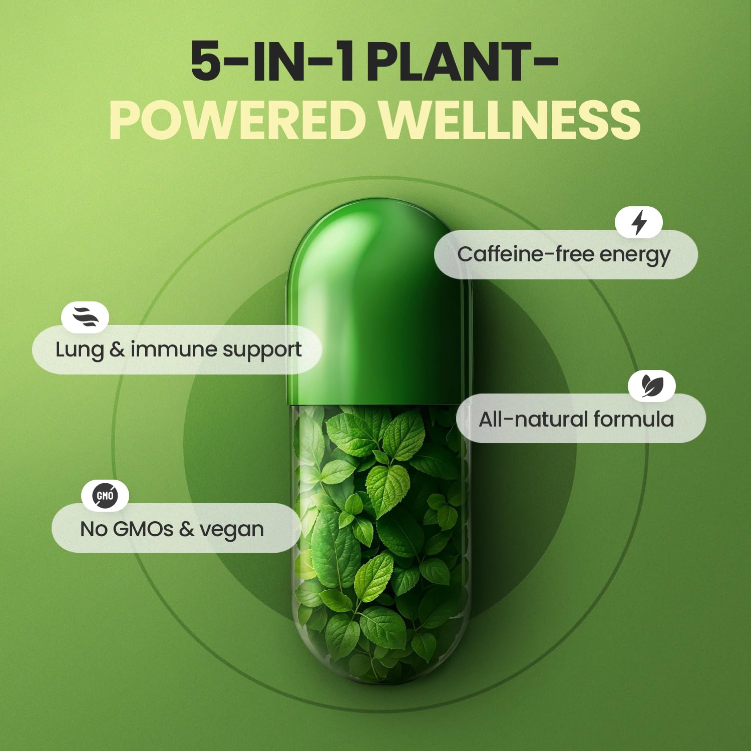 Moringa Capsules, Beet Root, Mullein Leaf - Energy, Skin, Immune Supplement Superfood, Rich in Antioxidants, Minerals & Essential Vitamins - High Absorption Non-GMO - Made in USA - 60ct Vitamax uk supplements