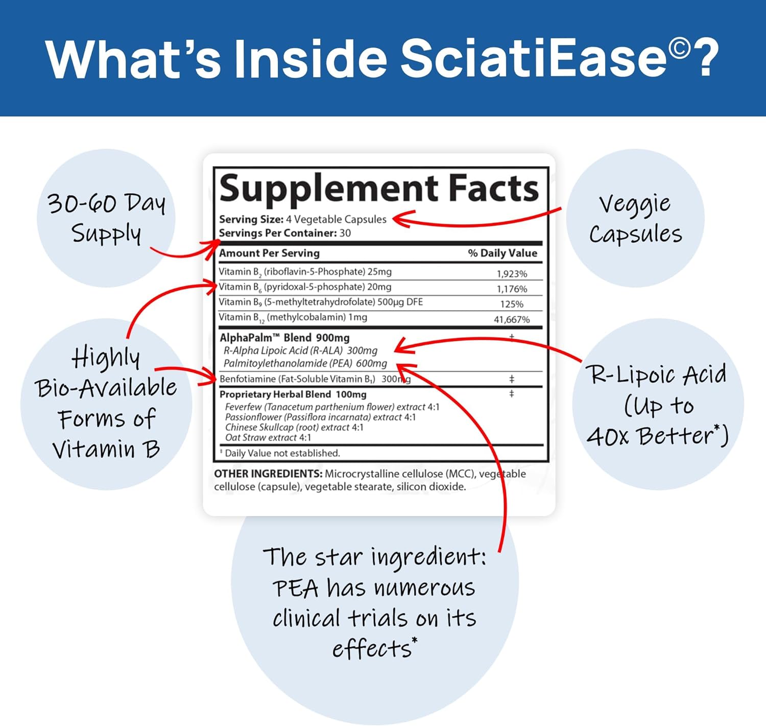 SciatiEase Sciatic Nerve Health Support Sciatic Nerve Supplement SciatiEase uk supplements