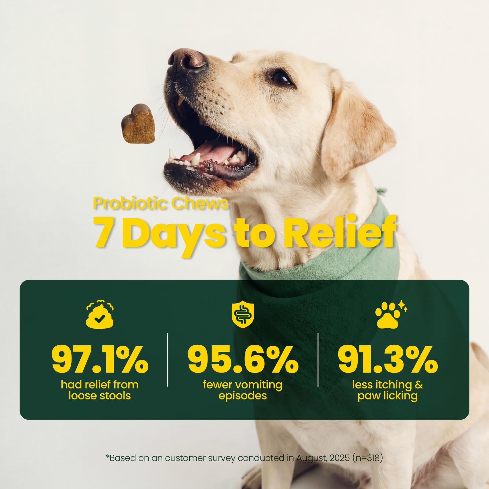 Boops Pets Probiotics for Dogs – 30 Billion CFU with Pre, Postbiotics & Digestive Enzymes – Supports Gut Health, Immunity, Loose Stools & Allergies – Filet Mignon Flavor – Vet Formulated – 60 Chews Boops Pets uk supplements