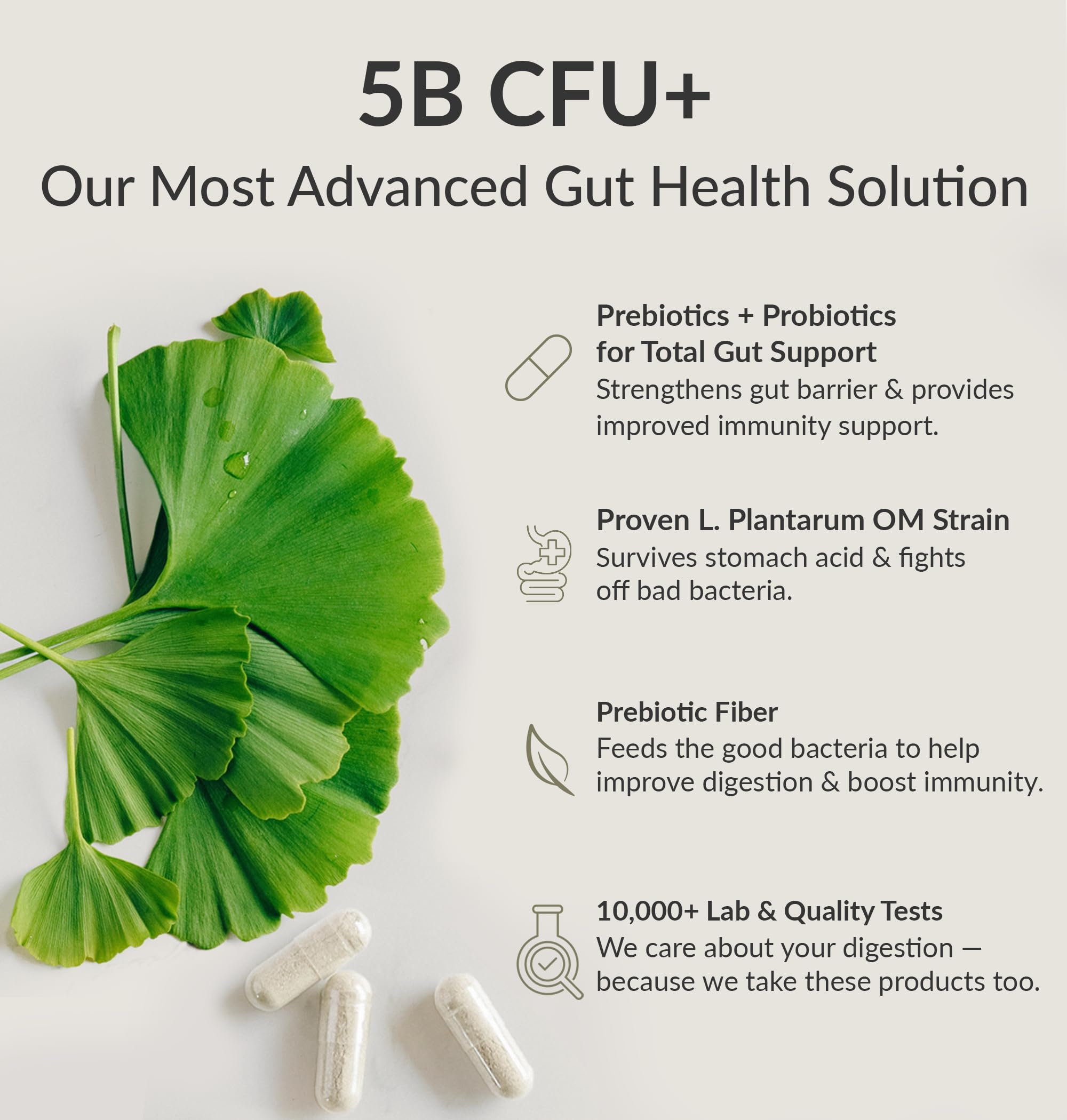 BIOptimizers Probiotic Breakthrough – Lactobacillus Plantarum OM Probiotics & Prebiotics Health Supplement for Gut, Digestive & Immune Support Probiotics for Women Men Elderly– 30 Vegan Capsules BIOptimizers uk supplements