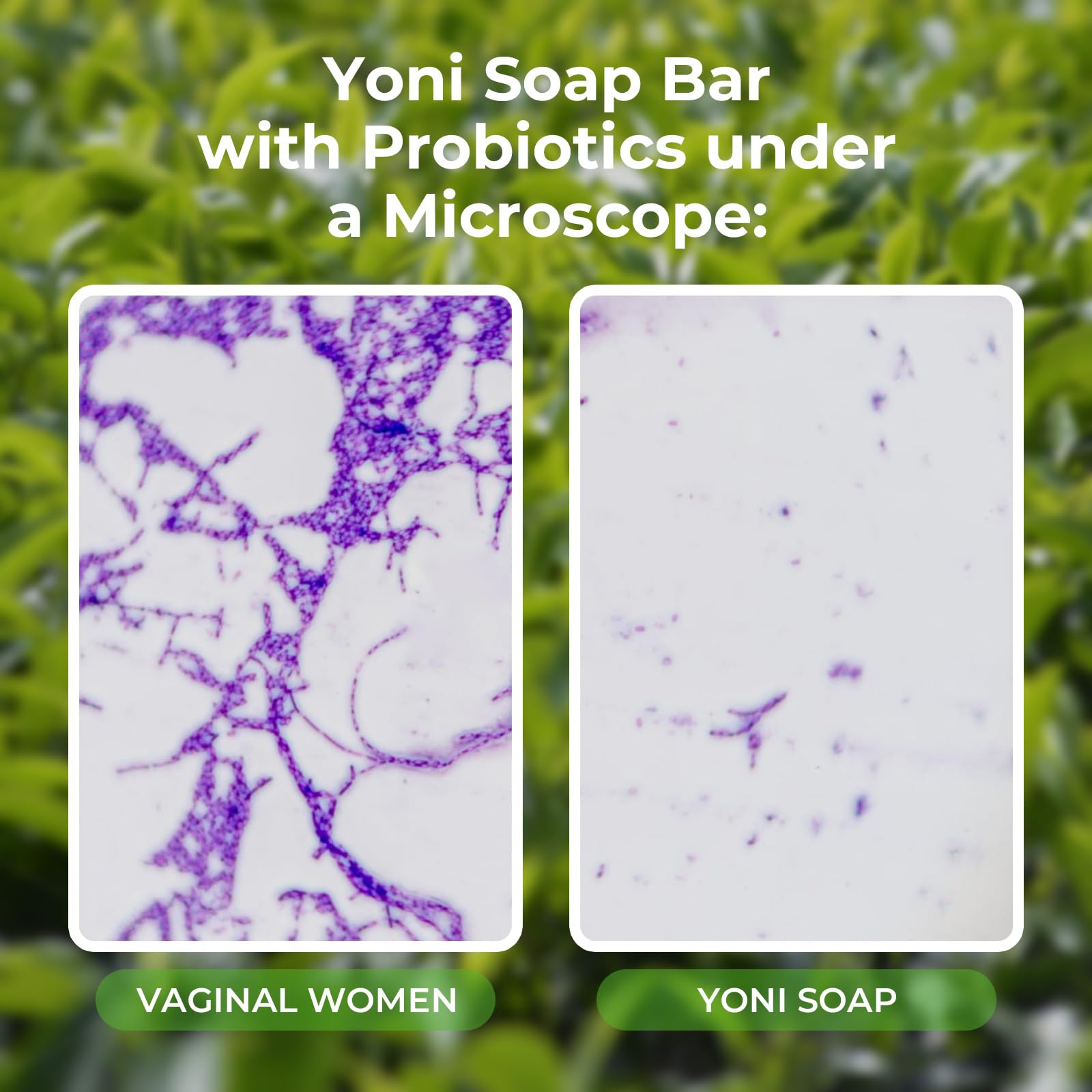 Feminine Wash & Yoni Oil & Yoni Soap Tea Tree Set for Women, Yoni Wash for Vaginal Ph Balance Remove BASSI uk supplements