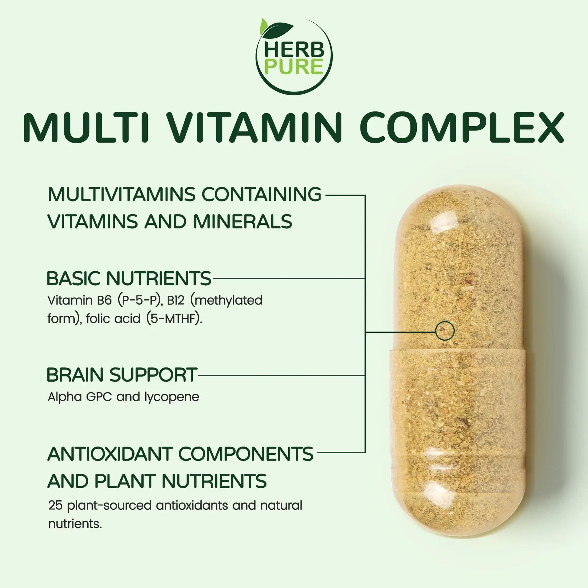 HERB PURE Multi Vitamin Complex Daily Multivitamin for Men and Women – 28 Essential Vitamins & Minerals with Active Vitamins, Superfood Blend, Alpha GPC HERB PURE uk supplements