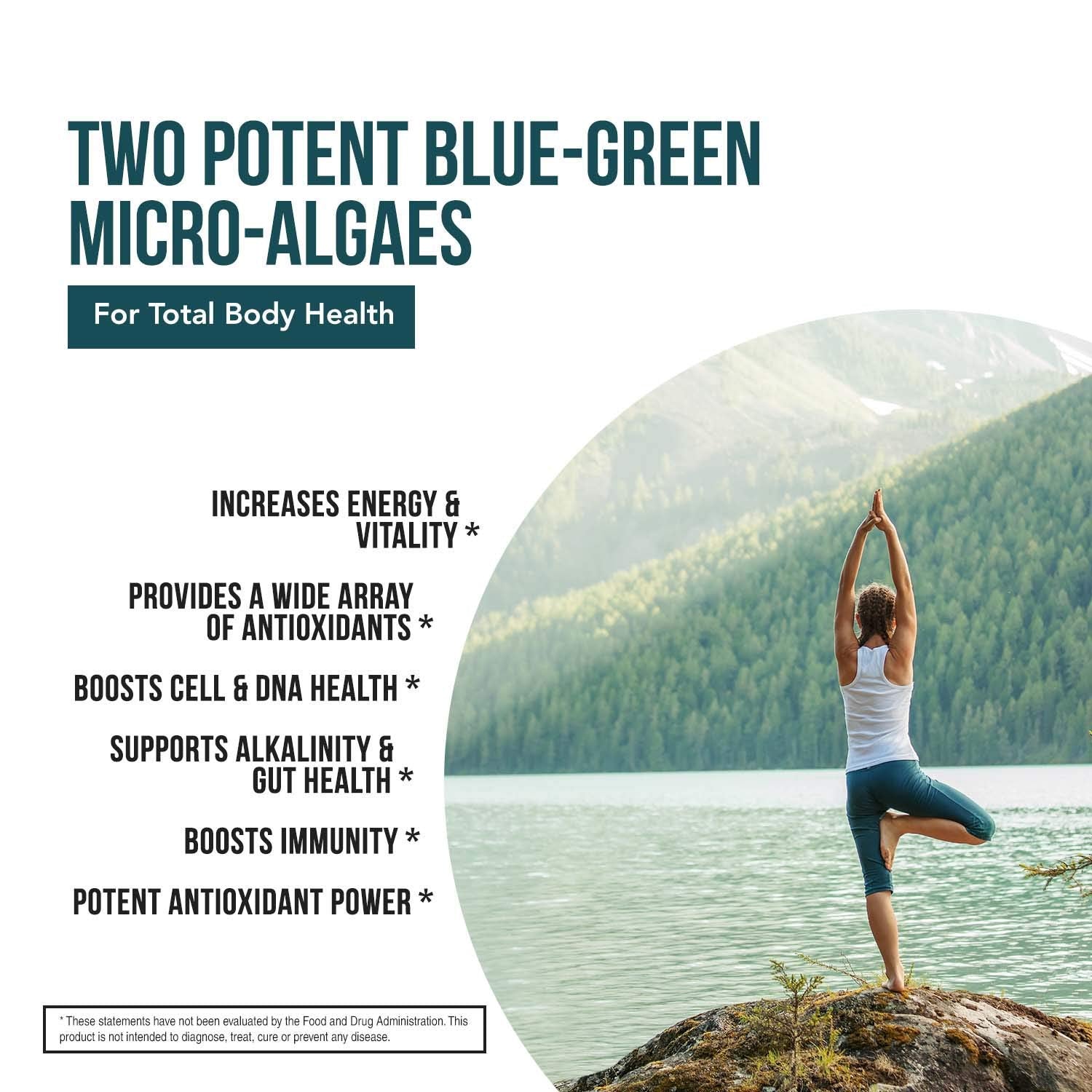 Organic Spirulina & Chlorella Tablets – 4 Organic Certifications, Raw, Non-Irradiated – 50/50 Blue Green Algae Blend – Antioxidant Content Equal to 5 Servings of Vegetables (120 Tablets) Triquetra Health uk supplements