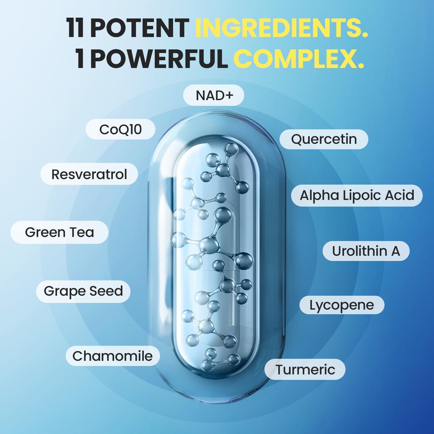 Liposomal NAD+ Supplement Extra Strength | Urolithin A, Resveratrol, CoQ10 - Women & Men - ALA, Green Tea, Quercetin, Lycopene | High Purity, Energy & Regeneration - Made in USA – 60ct Vitamax uk supplements