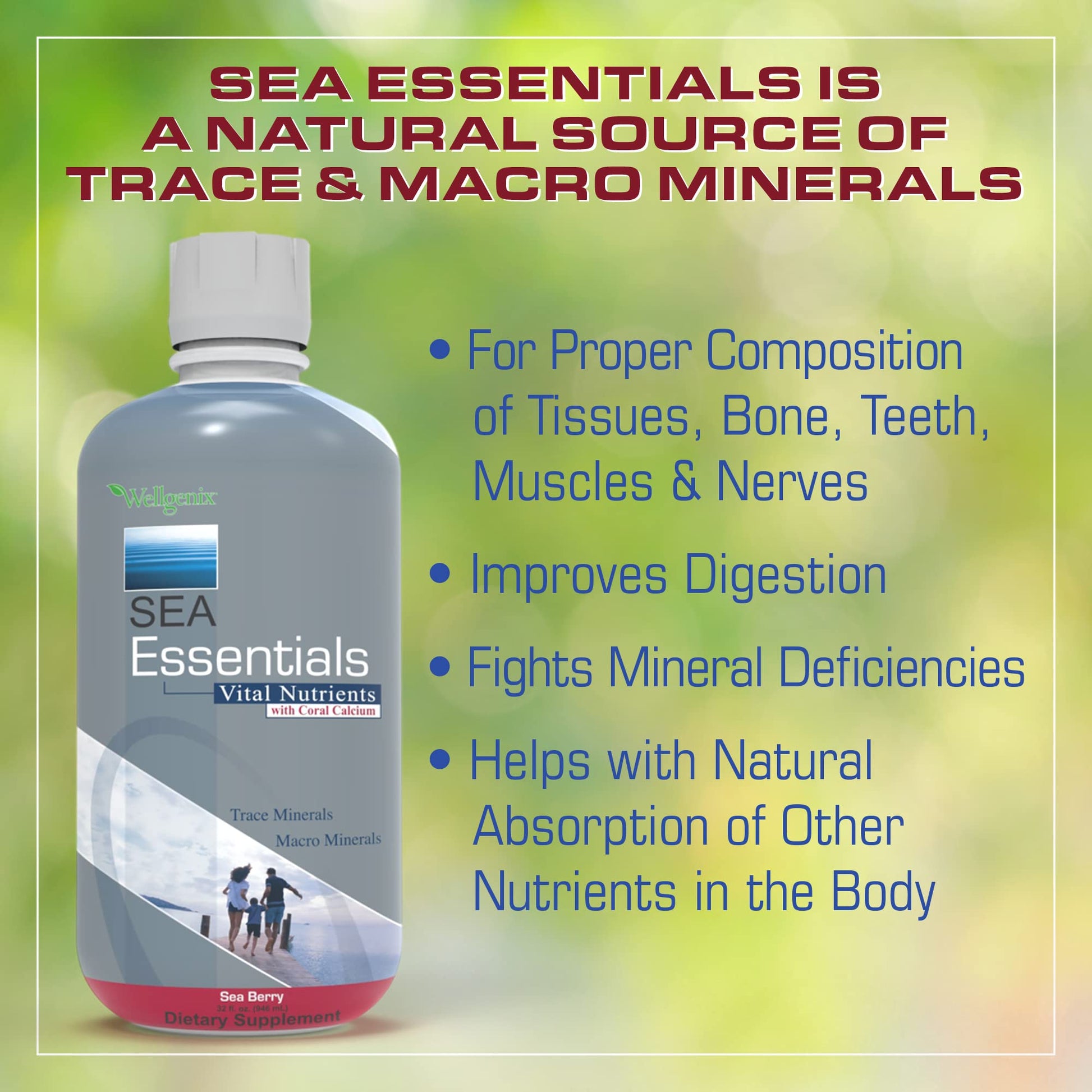 Wellgenix Sea Essentials Liquid Mineral Dietary Supplement with Trace and Macro Minerals and Coral Calcium – Sea Berry Flavor – 32 fl oz Wellgenix uk supplements