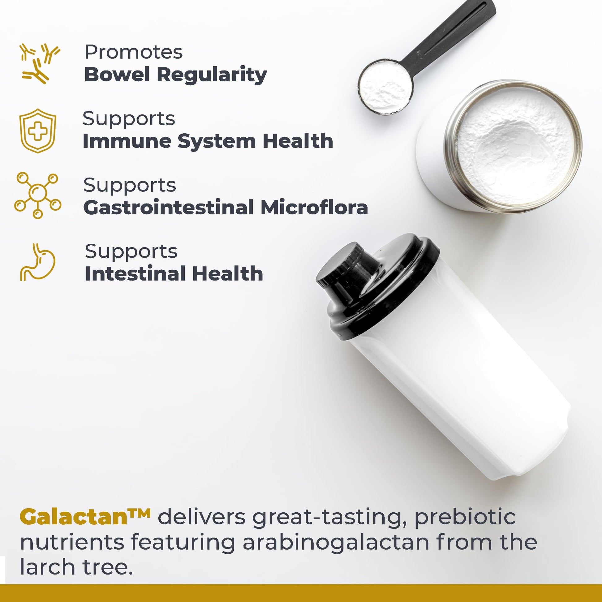 Premier Research Labs Galactan - Larch Arabinogalactan Powder for Men & Women, Prebiotic Fiber Powder for Healthy Gut Microbiome, Larch Tree Extract, Calcium - 8 oz Premier Research Labs uk supplements