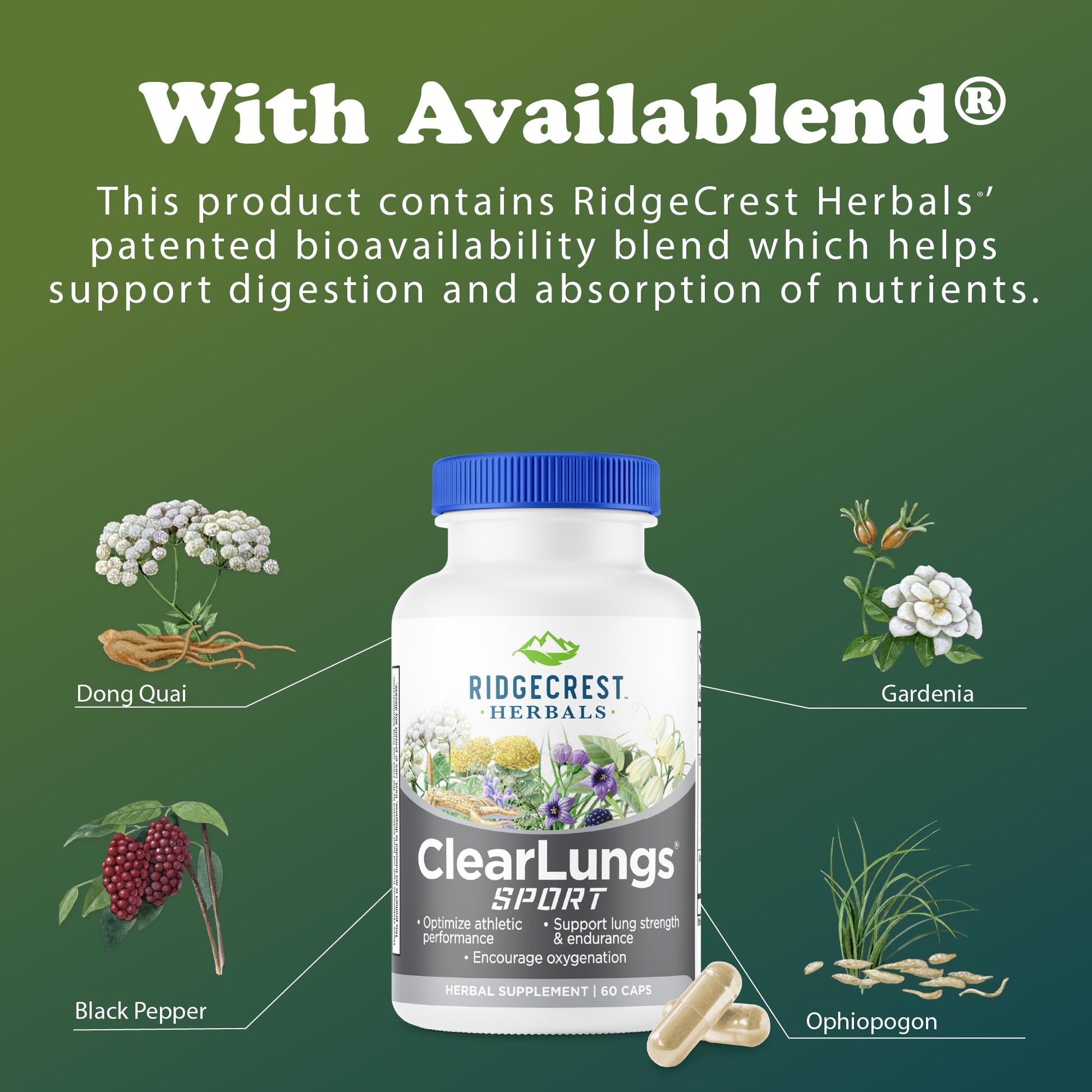 Ridgecrest Herbals ClearLungs Sport, Oxygen Intake and Lung Support Formula with Cordyceps, Rhodiola, Eleuthero (60 Vegan Caps, 30 Serv) RidgeCrest Herbals uk supplements