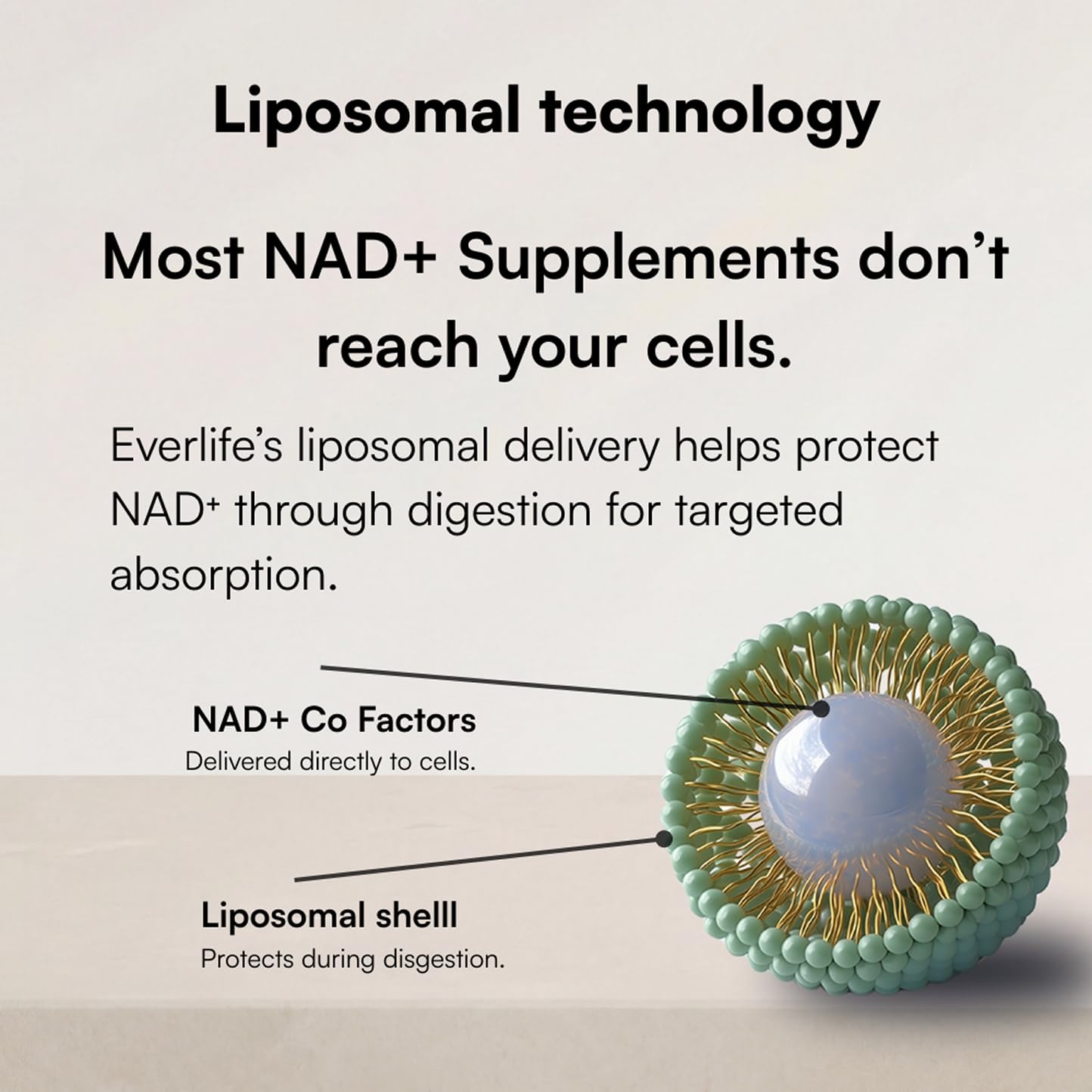 Everlife Liposomal NAD+ Liquid Supplement – 150mg Shot with Liposomal Trans-Resveratrol, TMG & Glycine – Boosts Energy, Cellular Repair, Healthy Aging & Longevity – NMNH Alternative – 30 Servings Everlife uk supplements